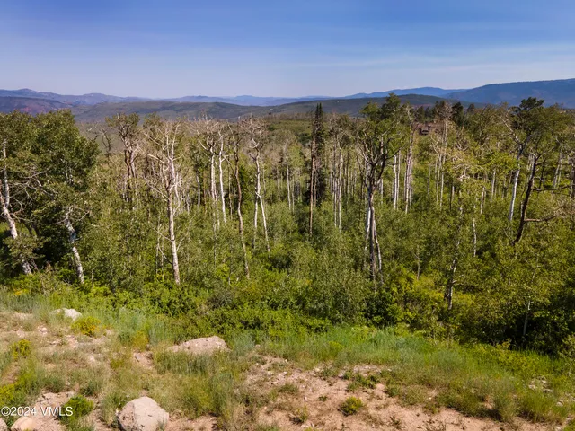 a view of a city with lush green forest