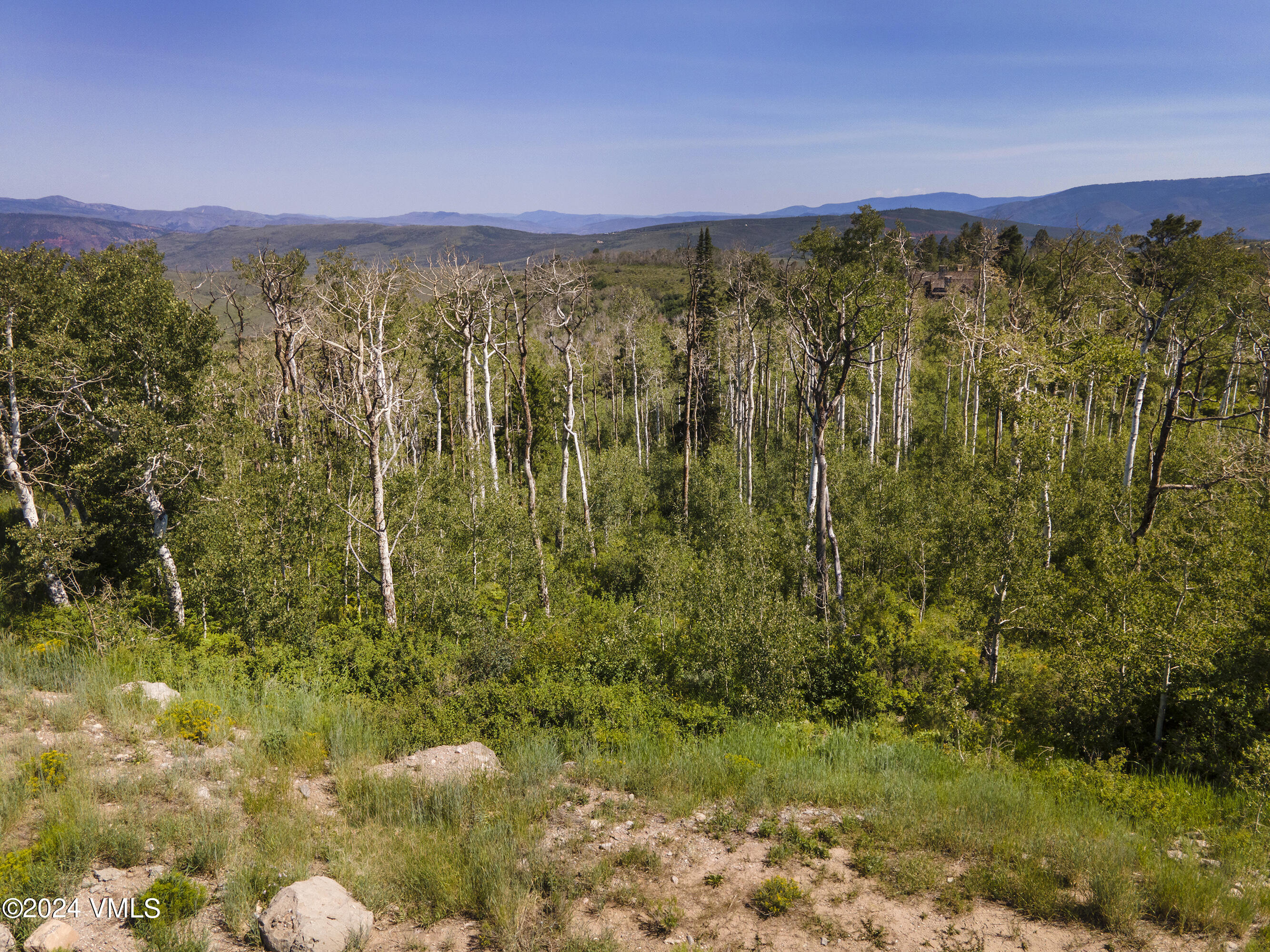907 Webb Peak Edwards, CO 81632 - Photo 9 of 17 a view of a city with lush green forest