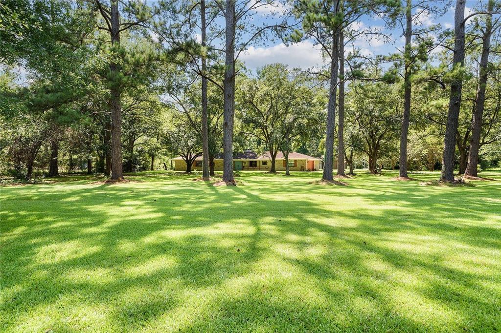 43289 Olive Branch Road Hammond, LA 70403 - Photo 15 of 16 Gallery Image 15