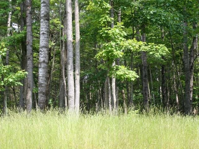 On Whitetail Crossing Road, Unit LOT 29 Eagle River, WI 54521 - Photo 1 of 3 Gallery Image 1