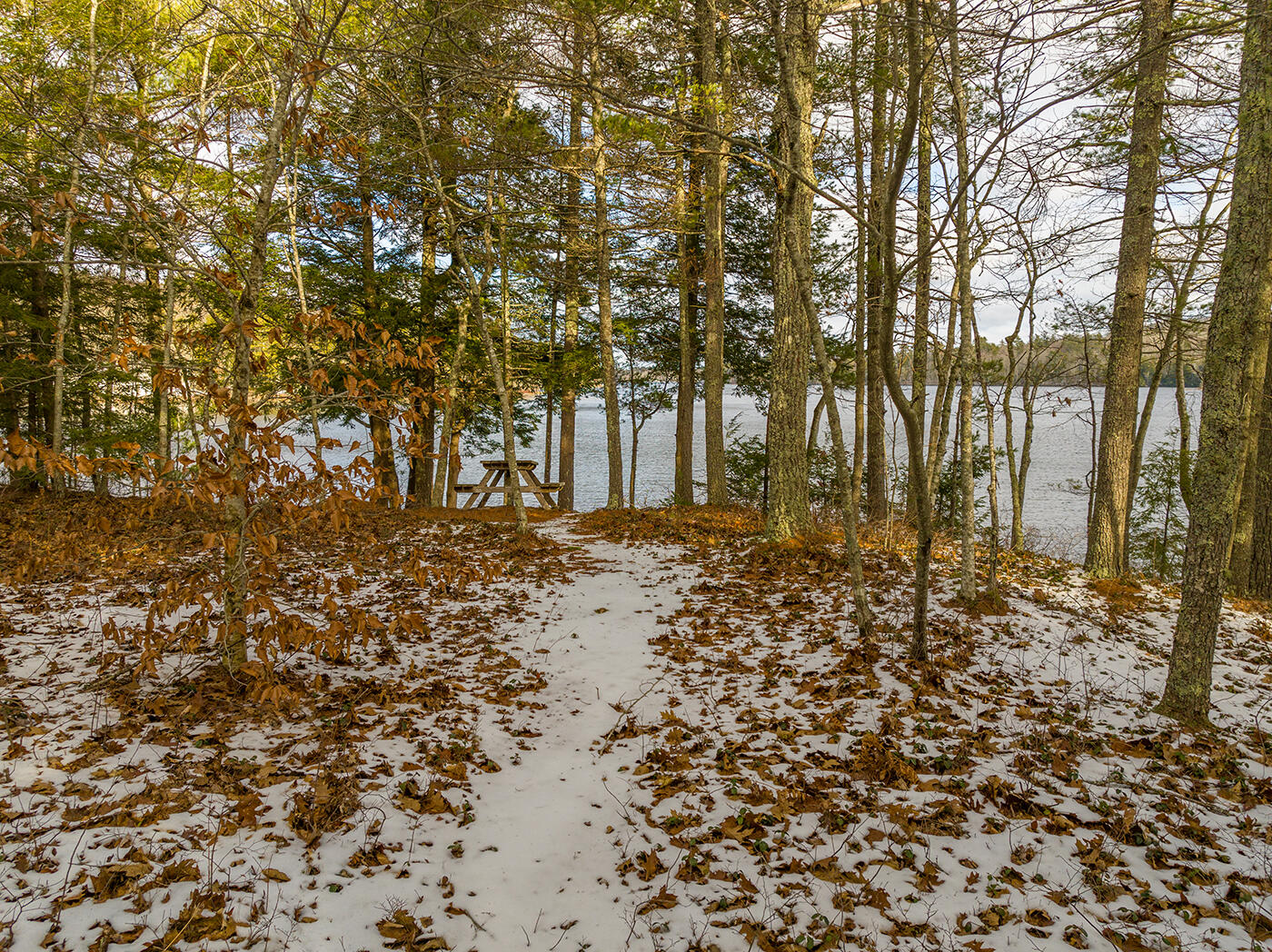 68 Cooks Point Road Hope, ME 04847 - Photo 51 of 70 DJI_0223