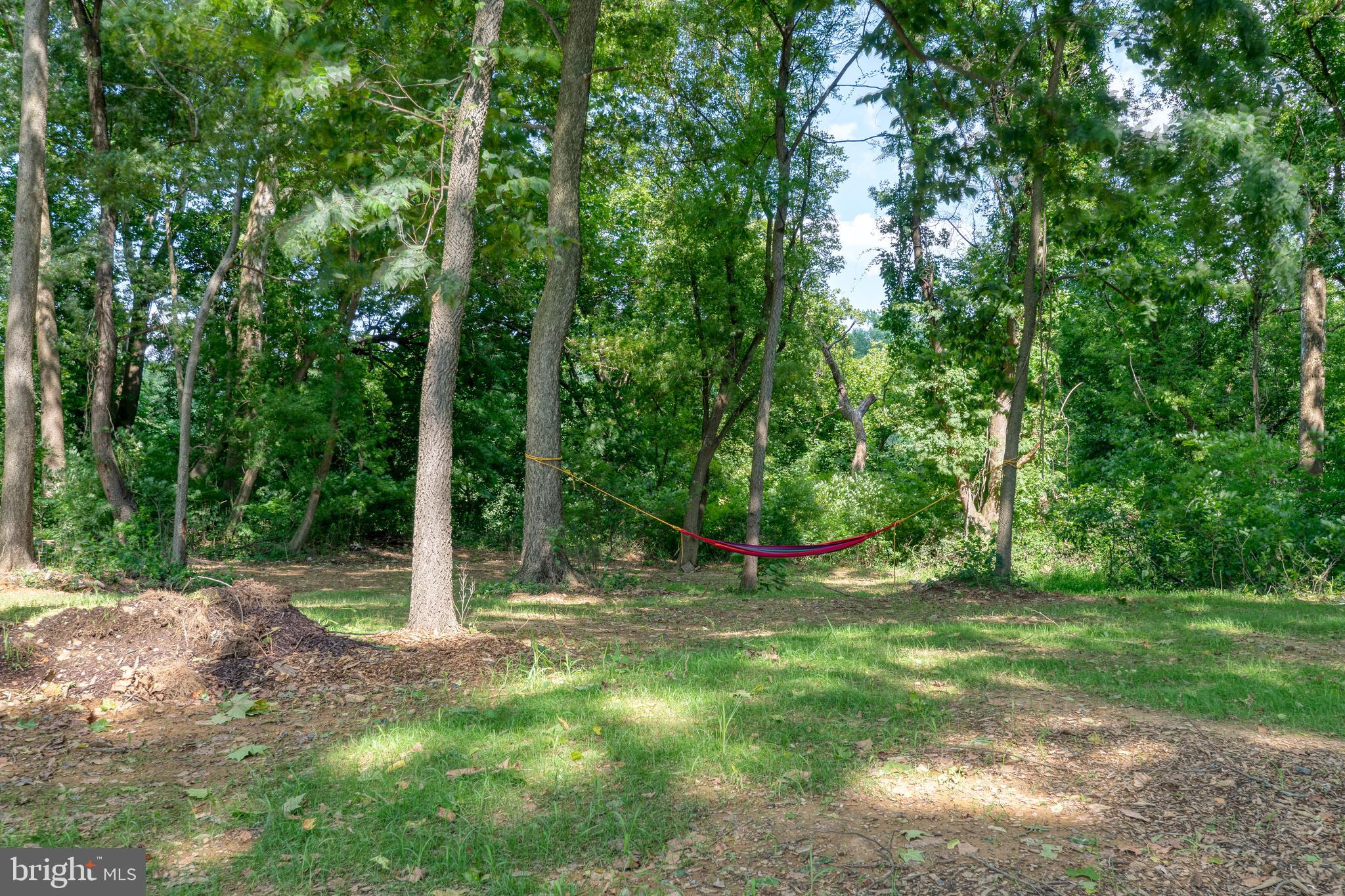 1153 South Duke Street Lancaster, PA 17602 - Photo 14 of 21 a backyard of a house with plants and large trees