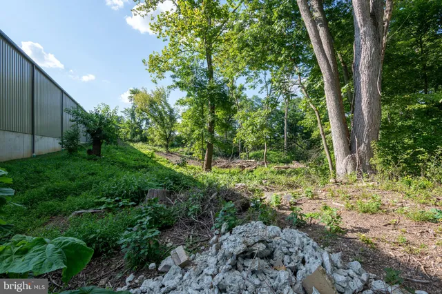 a view of outdoor space and yard