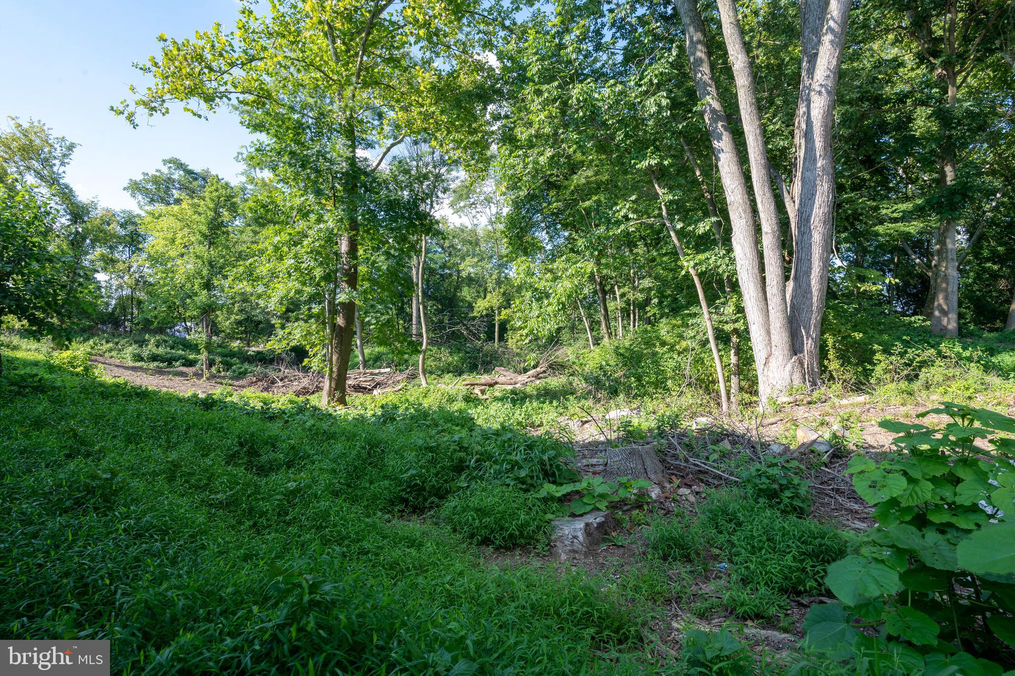1153 South Duke Street Lancaster, PA 17602 - Photo 18 of 21 a view of outdoor space and yard