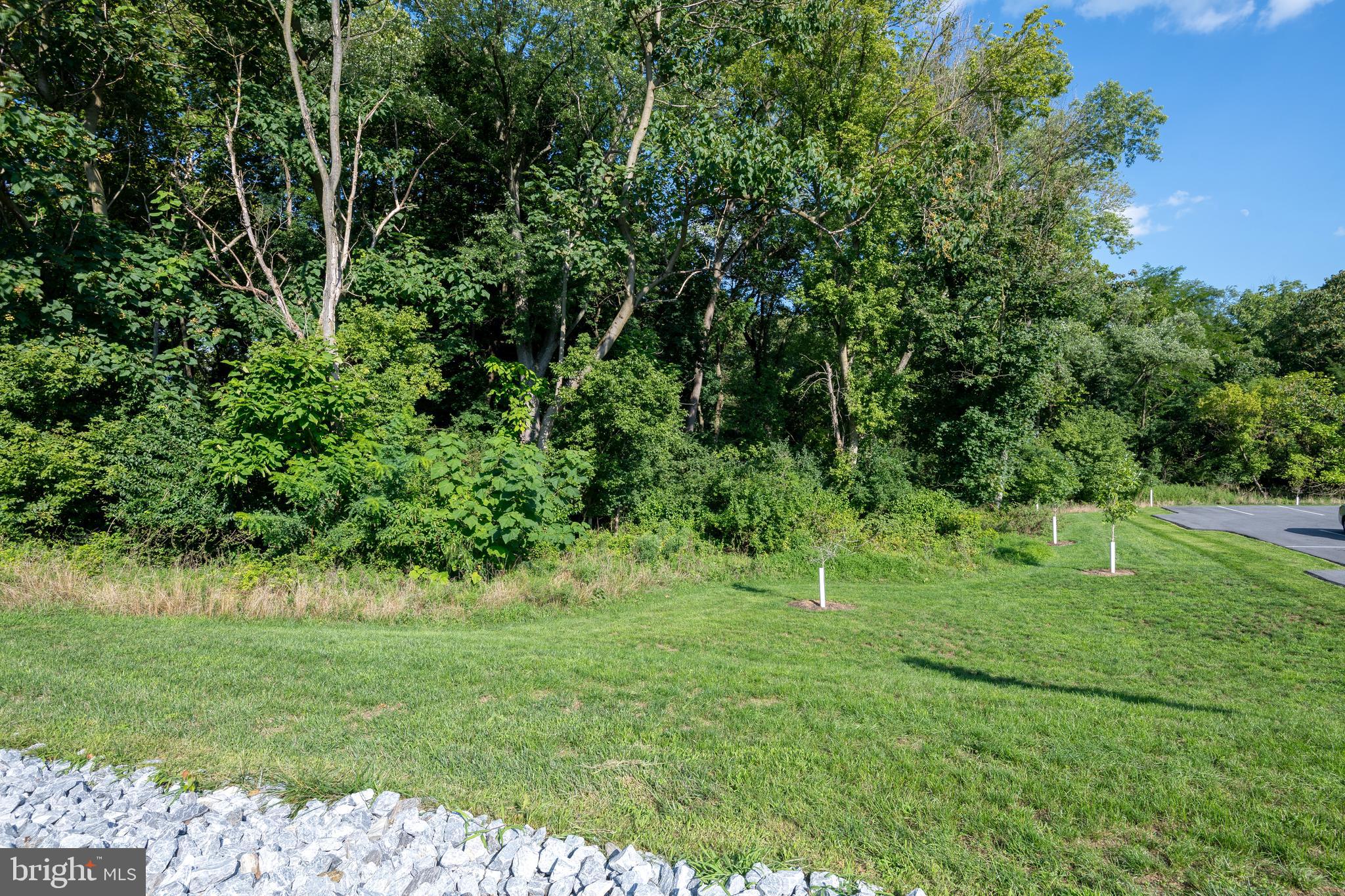 1153 South Duke Street Lancaster, PA 17602 - Photo 19 of 21 a grassy field with trees in the background