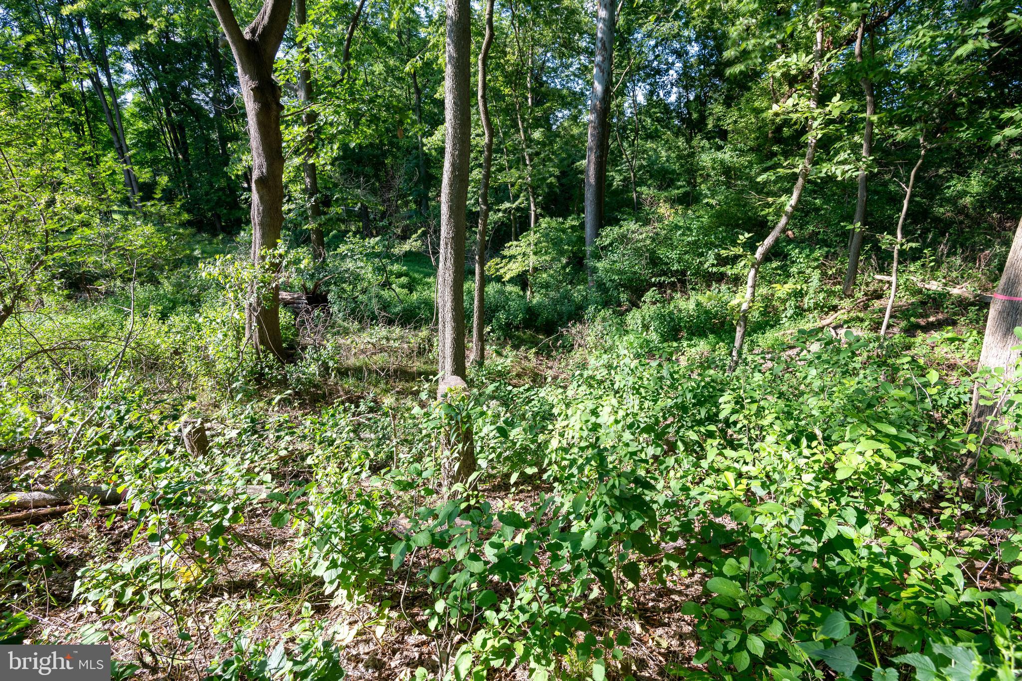 1153 South Duke Street Lancaster, PA 17602 - Photo 20 of 21 a view of a garden