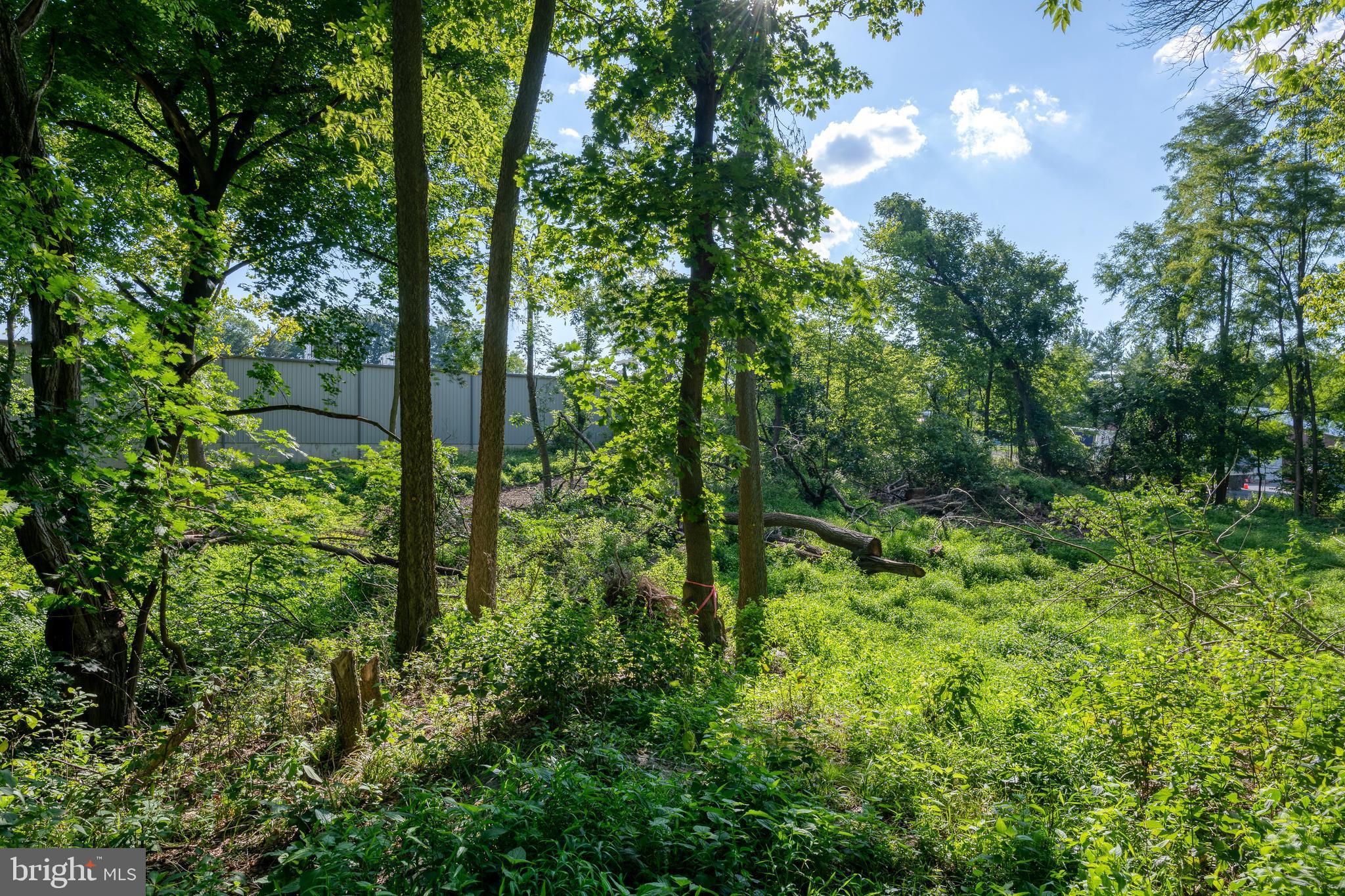 1153 South Duke Street Lancaster, PA 17602 - Photo 21 of 21 a view of a garden