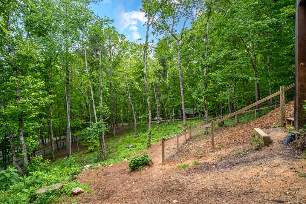32 Grice Woods Road Blue Ridge, GA 30513 - Photo 54 of 65 Gallery Image 54