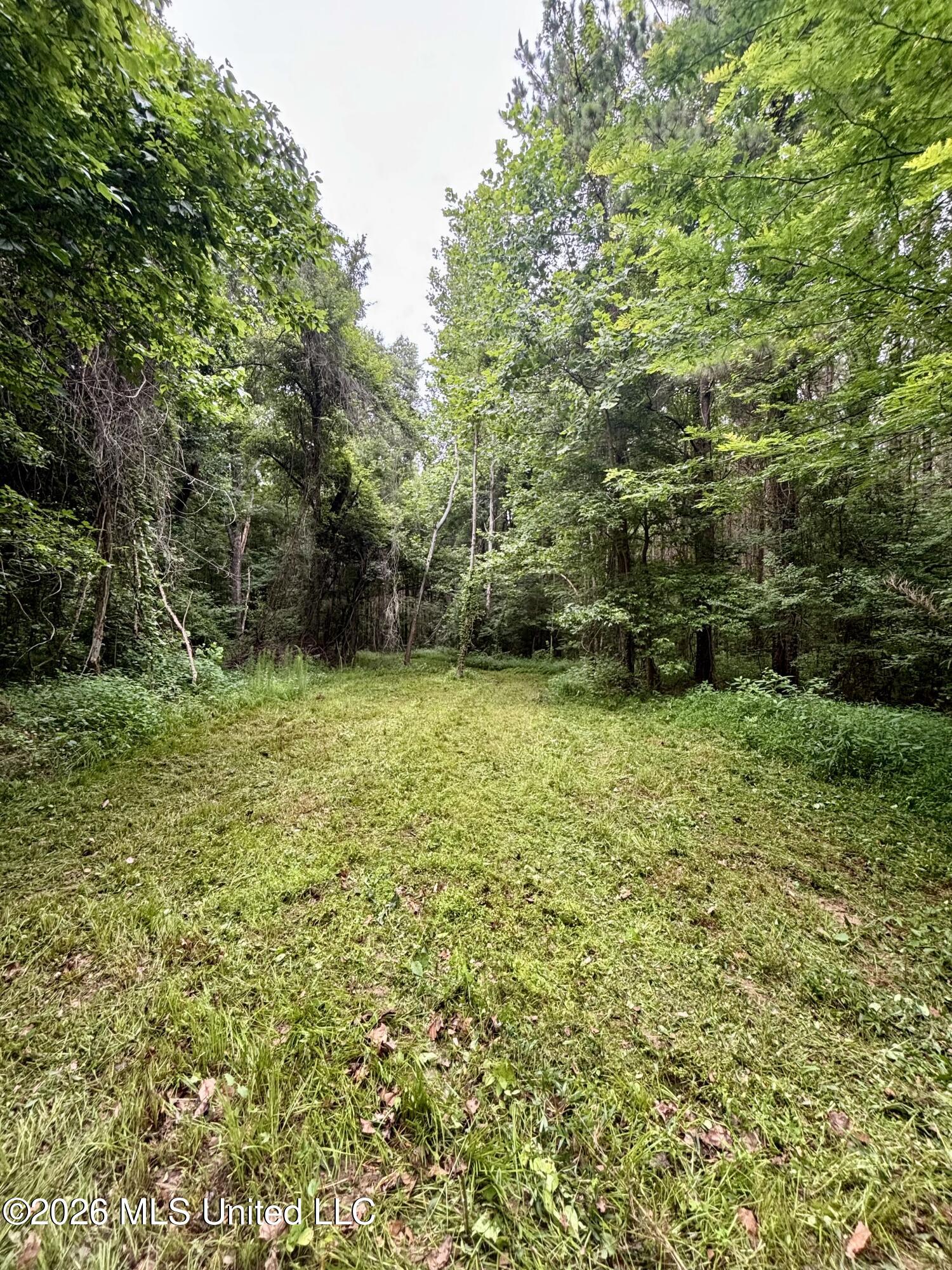 8119 Dry Grove Road Raymond, MS 39154 - Photo 2 of 45 IMG_4710