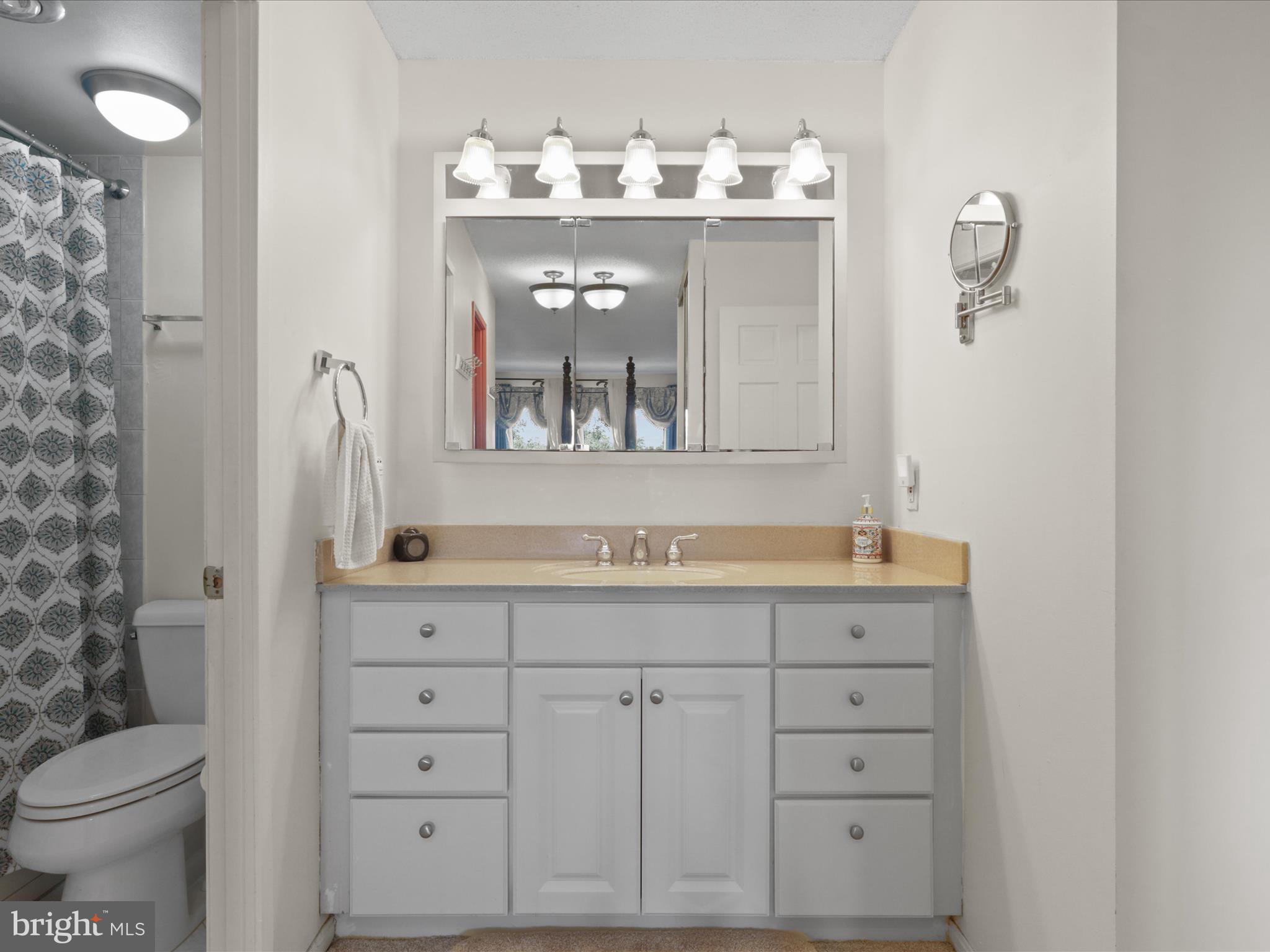 205 Yoakum Parkway, Unit 1020 Alexandria, VA 22304 - Photo 18 of 62 a bathroom with a sink mirror and toilet