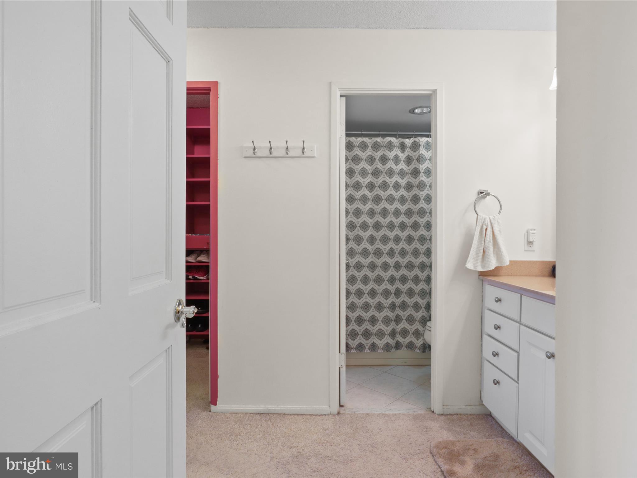 205 Yoakum Parkway, Unit 1020 Alexandria, VA 22304 - Photo 19 of 62 Entry way into primary