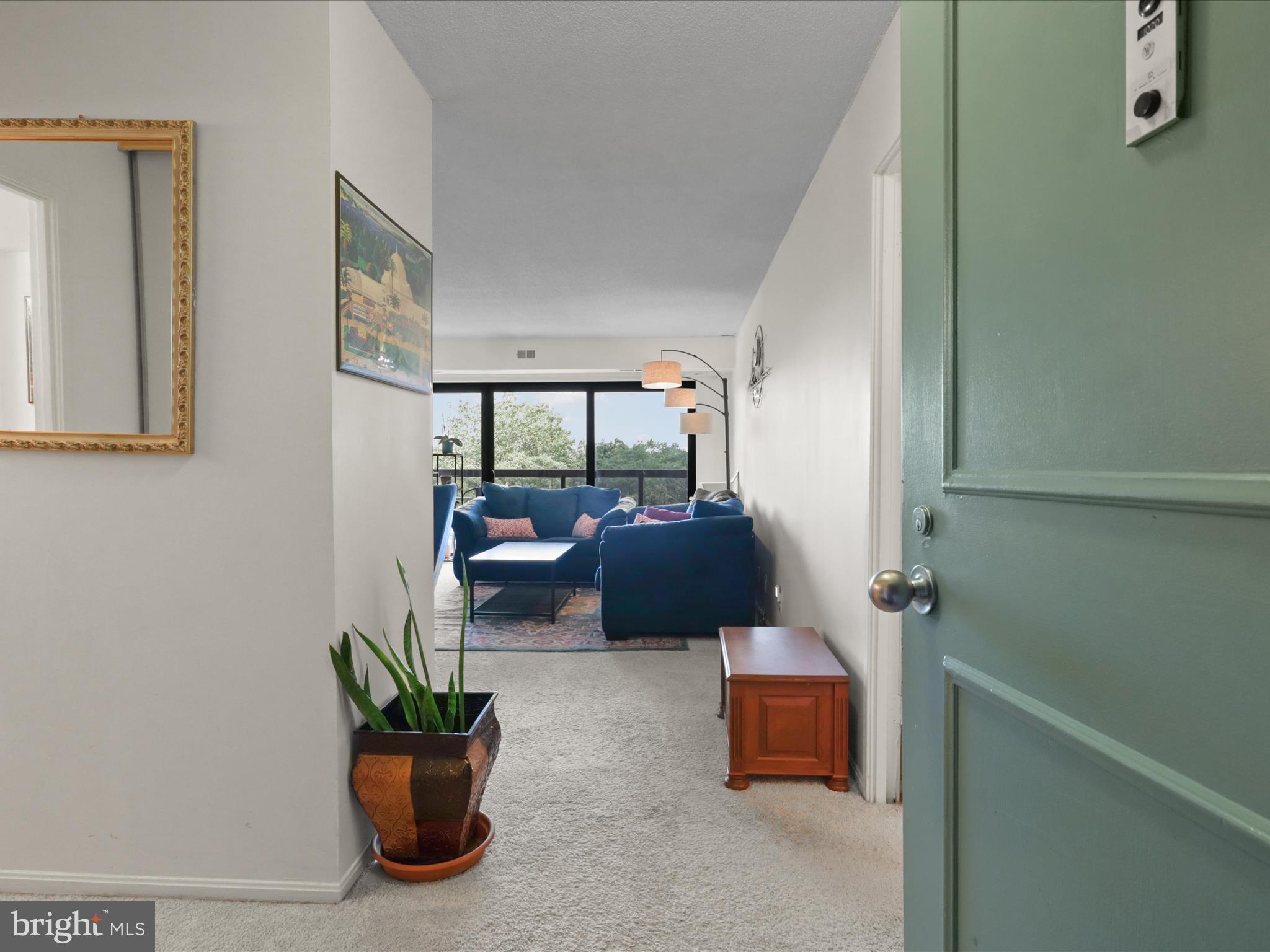 205 Yoakum Parkway, Unit 1020 Alexandria, VA 22304 - Photo 5 of 62 a living room with furniture and a potted plant