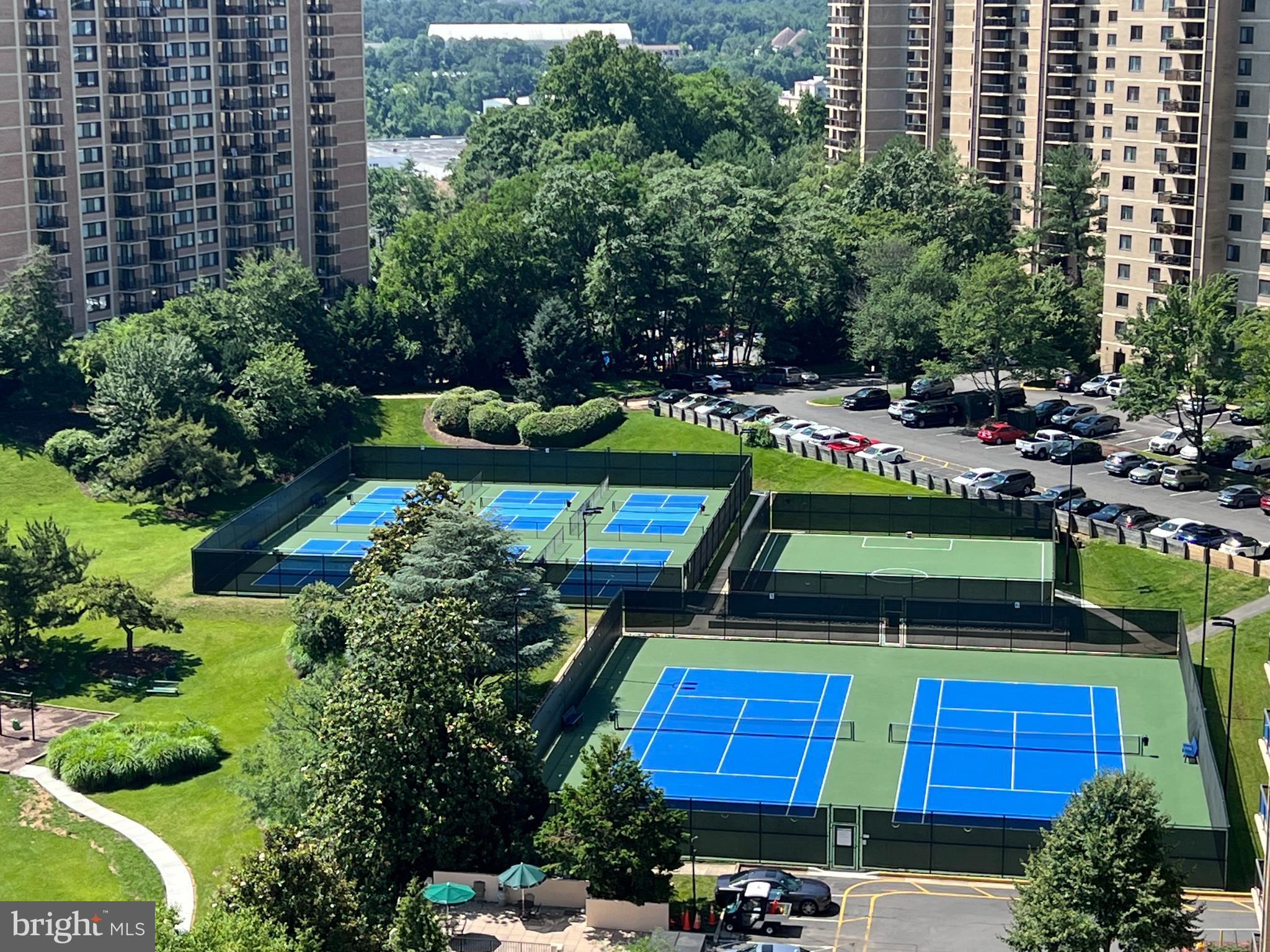 205 Yoakum Parkway, Unit 1020 Alexandria, VA 22304 - Photo 53 of 62 a aerial view of a yard with plants and large trees