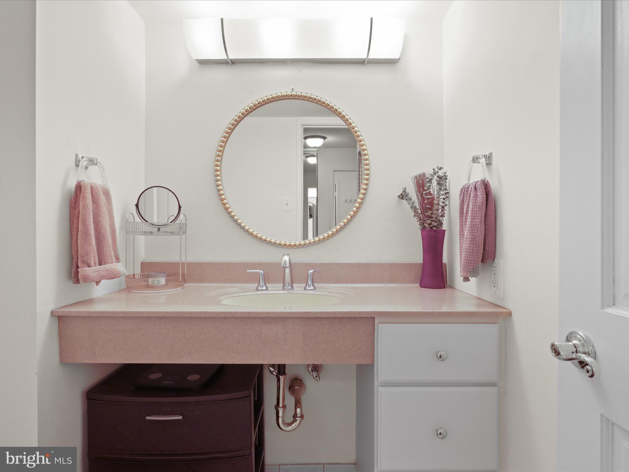 205 Yoakum Parkway, Unit 1020 Alexandria, VA 22304 - Photo 7 of 62 a bathroom with a sink vanity and a mirror