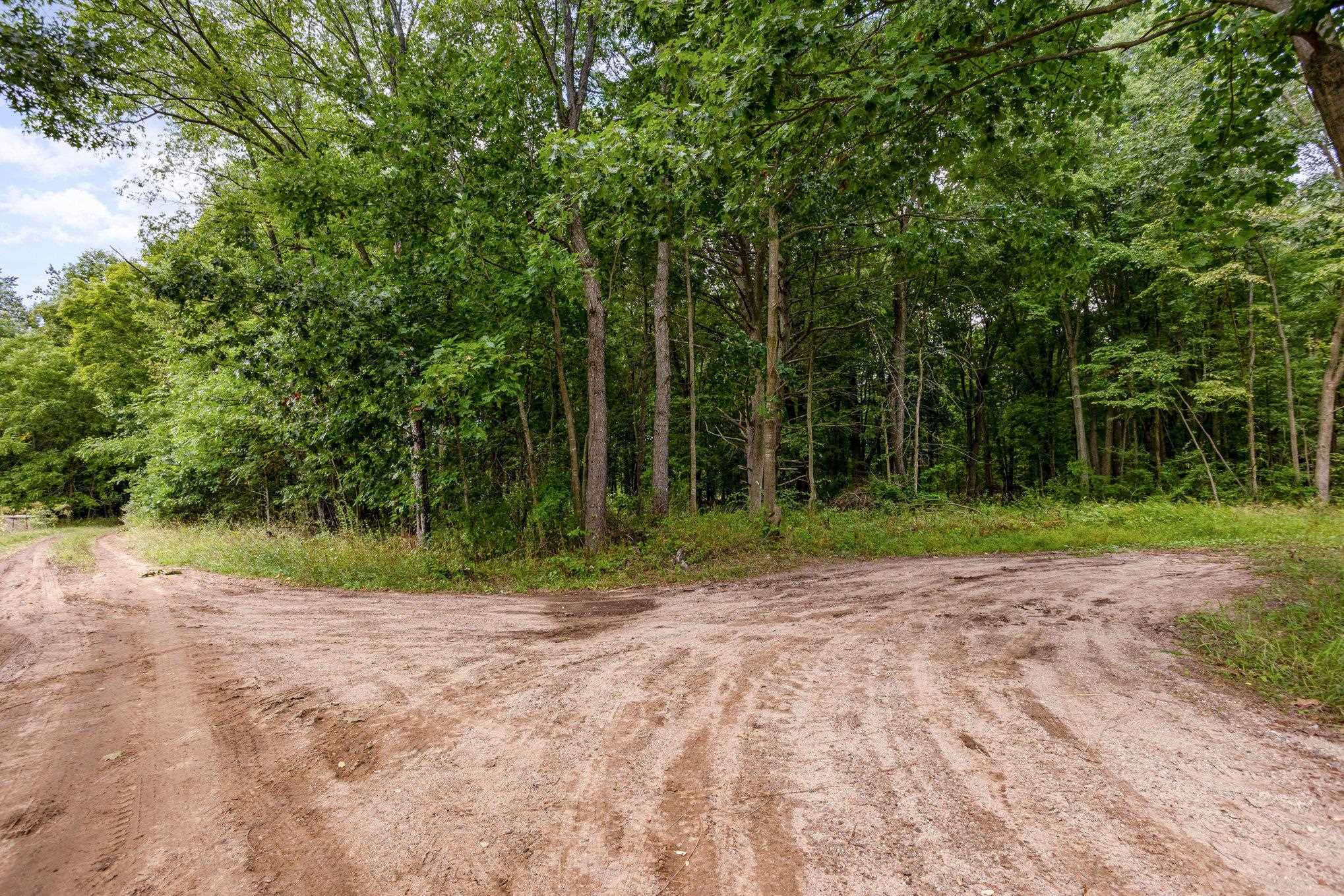 Tbd East Klees Road Crystal, MI 48818 - Photo 2 of 14