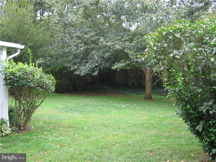 855 Valley View Road Flourtown, PA 19031 - Photo 13 of 17 Side Yard