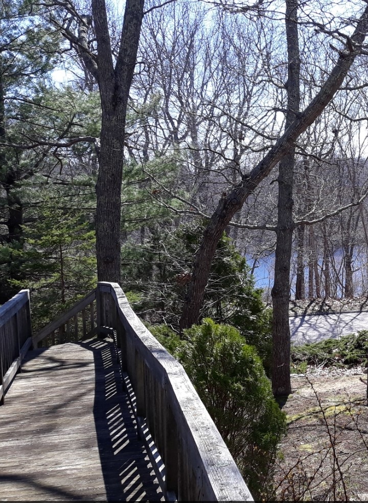44 Rockridge Road Westerly, RI 02891 - Photo 6 of 41