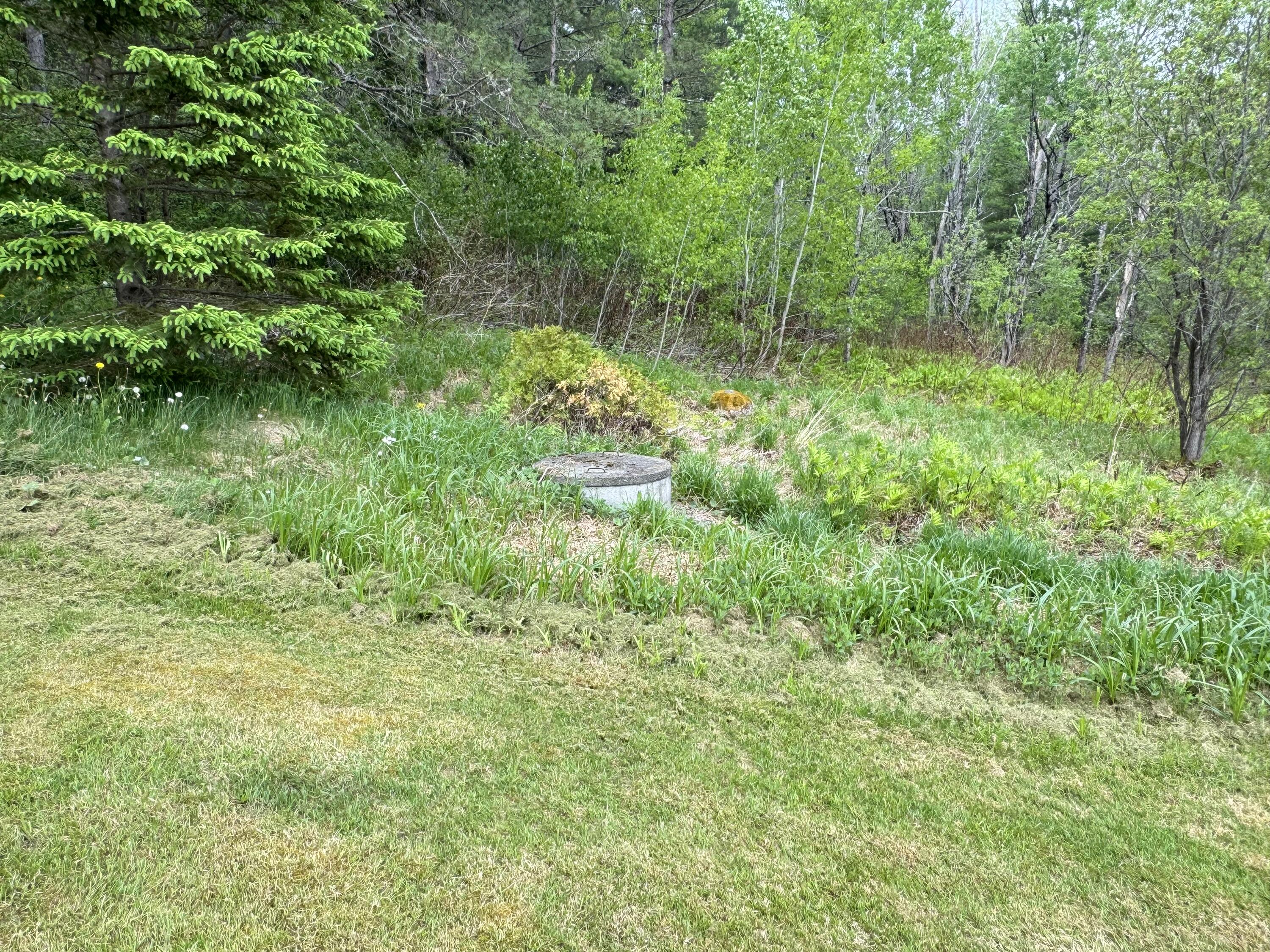 9 Cove Road Madawaska, ME 04773 - Photo 75 of 89 IMG_2889