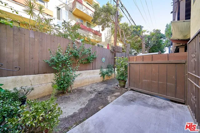 a view of a backyard with plants and large trees