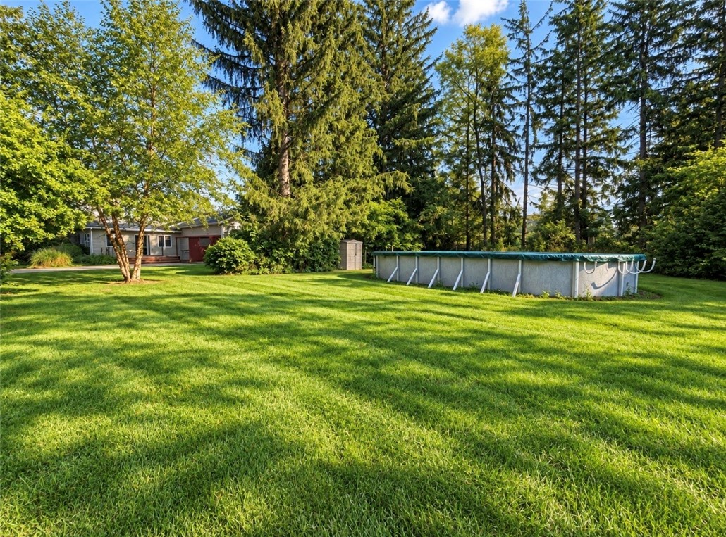 709 Watkins Road Horseheads, NY 14845 - Photo 42 of 42 Pool time !!