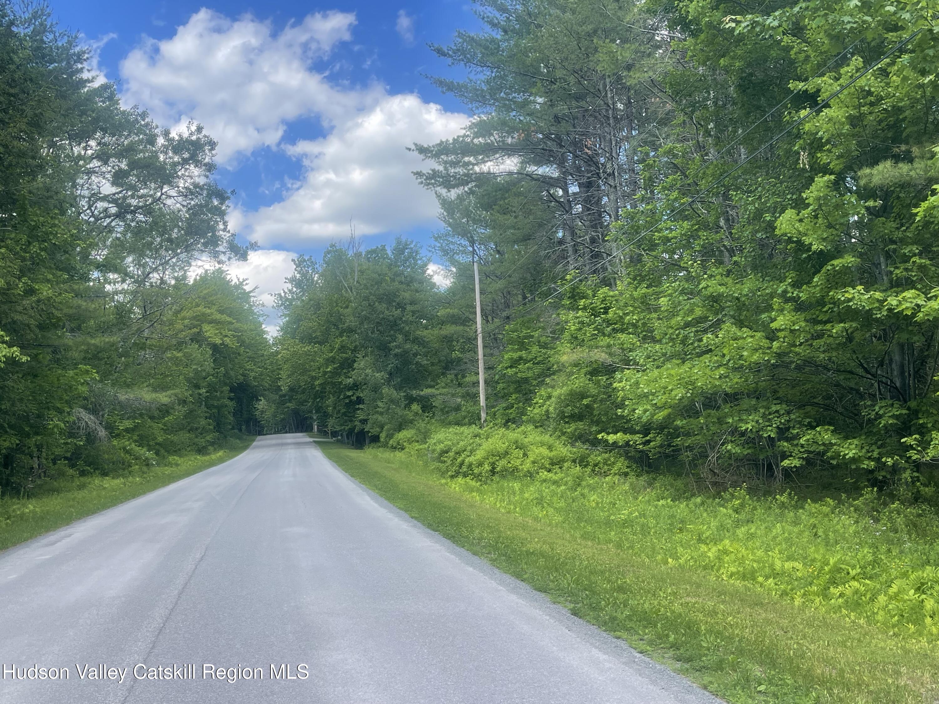 0 Campbell Road Windham, NY 12496 - Photo 6 of 7 IMG_0595