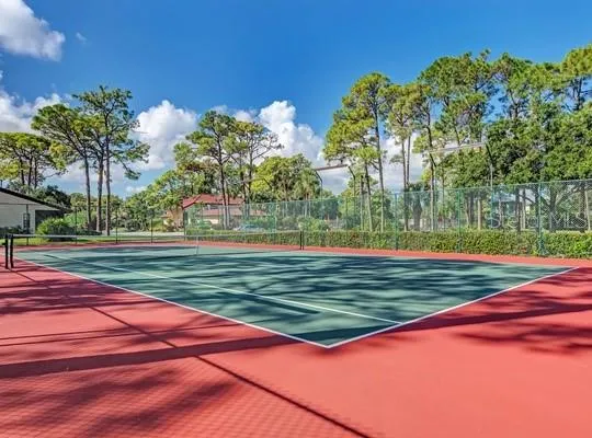 a view of a yard with palm trees