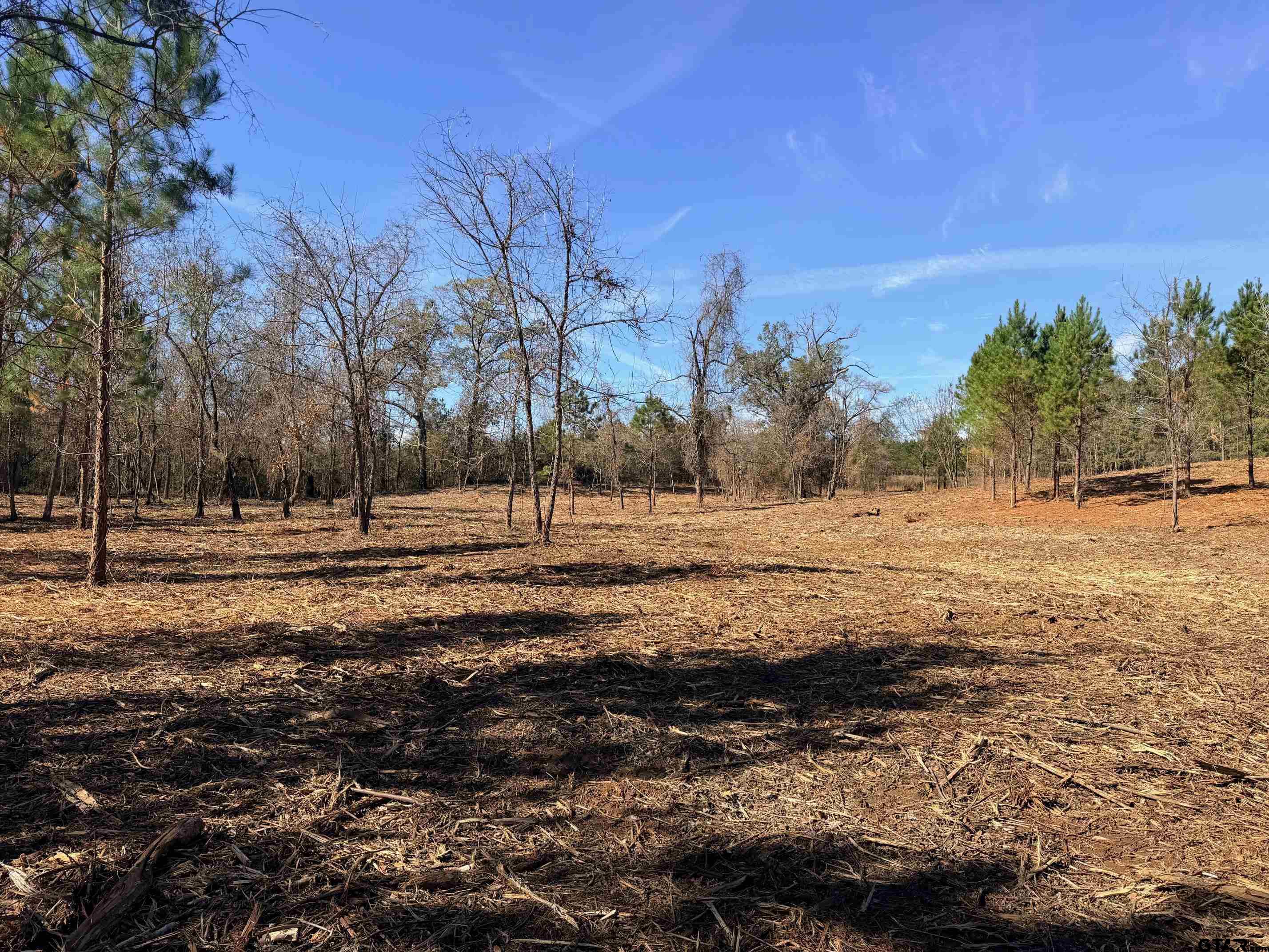 10719 Portside Court Tyler, TX 75708 - Photo 2 of 11