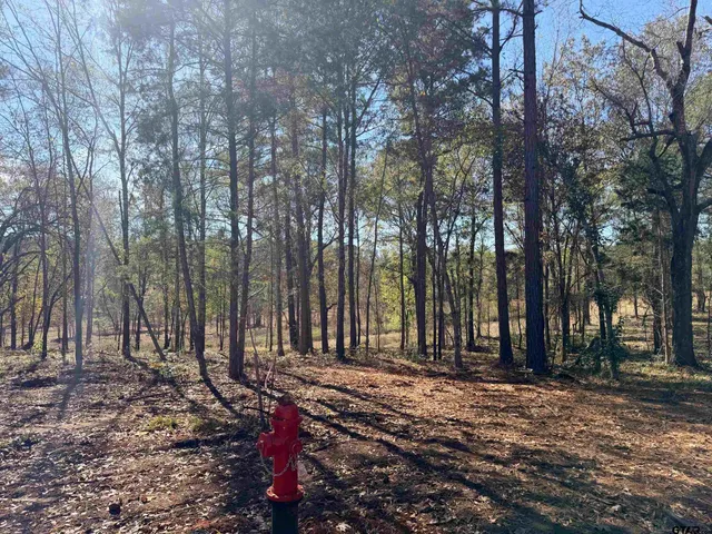 $89,900 | 10719 Portside Court, Tyler, TX 75708