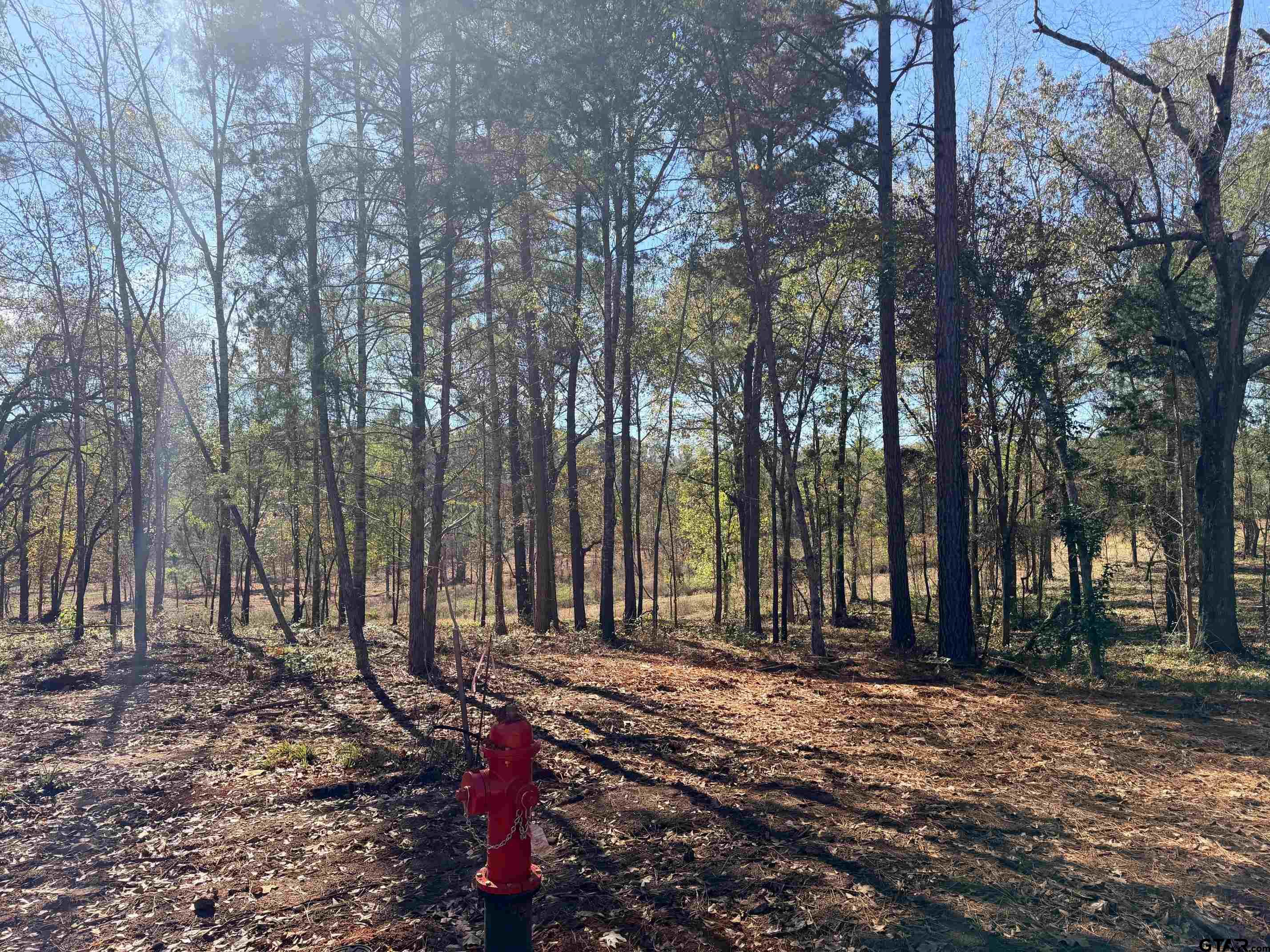 10719 Portside Court Tyler, TX 75708 - Photo 3 of 11