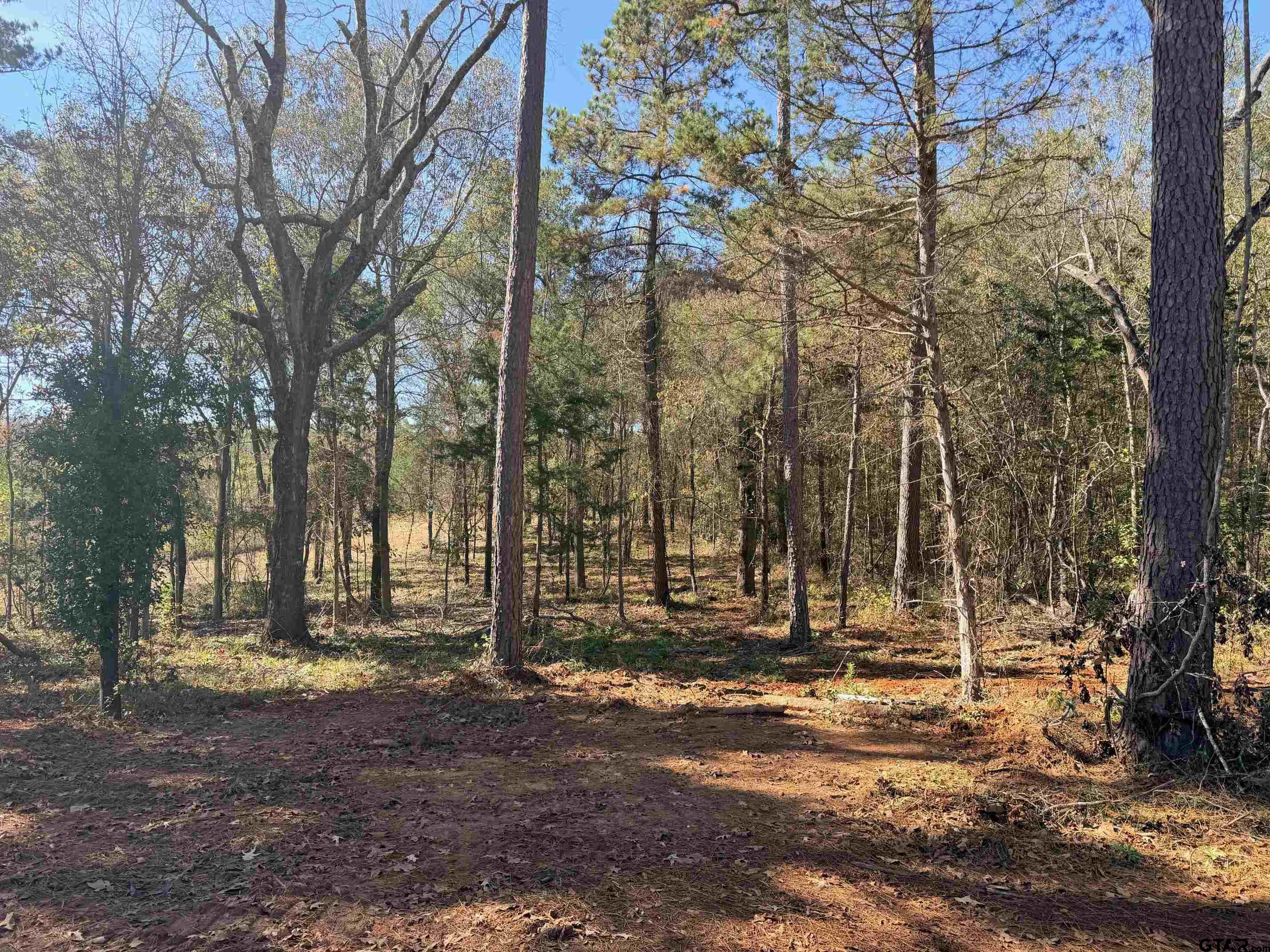 10719 Portside Court Tyler, TX 75708 - Photo 5 of 11