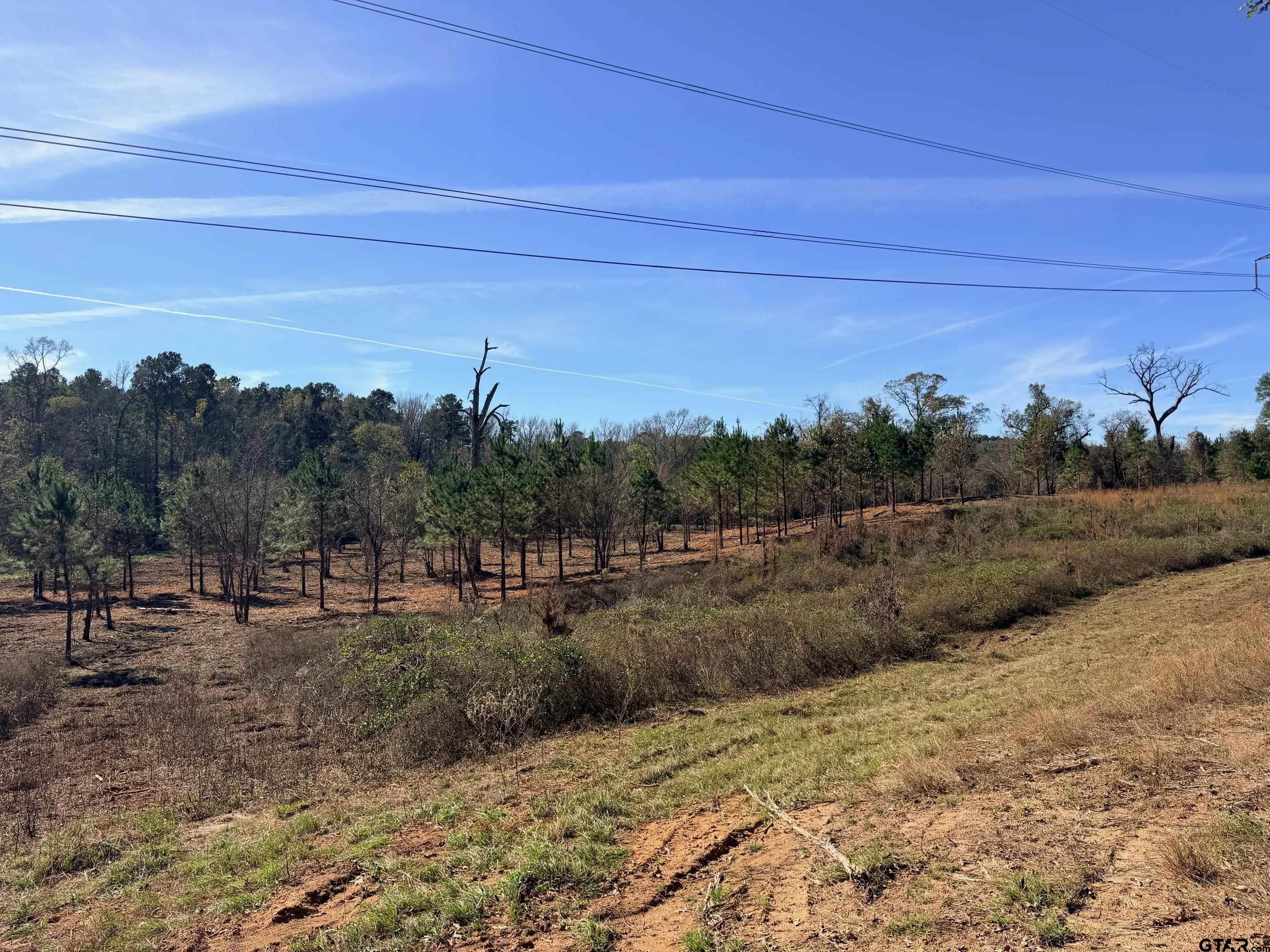 10719 Portside Court Tyler, TX 75708 - Photo 6 of 11