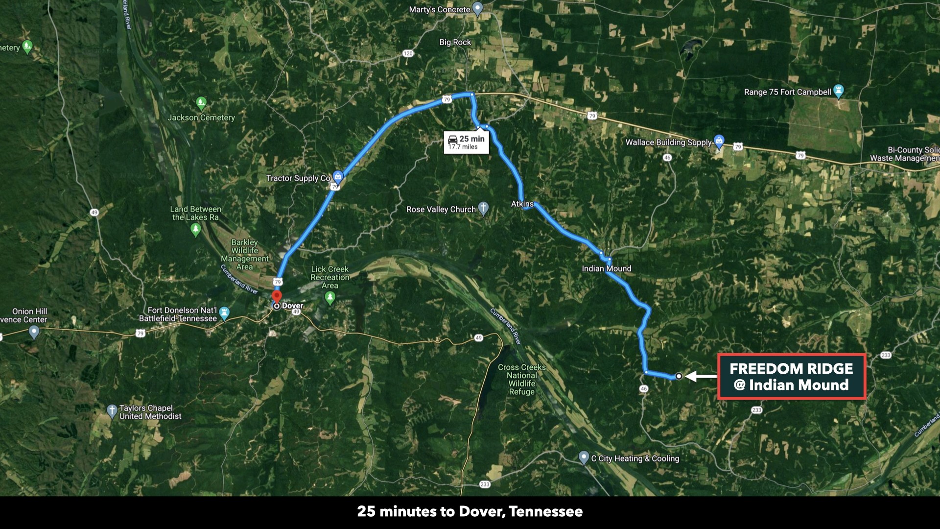 0 Freedom Ridge Indian Mound, TN 37079 - Photo 42 of 51 a view of tree