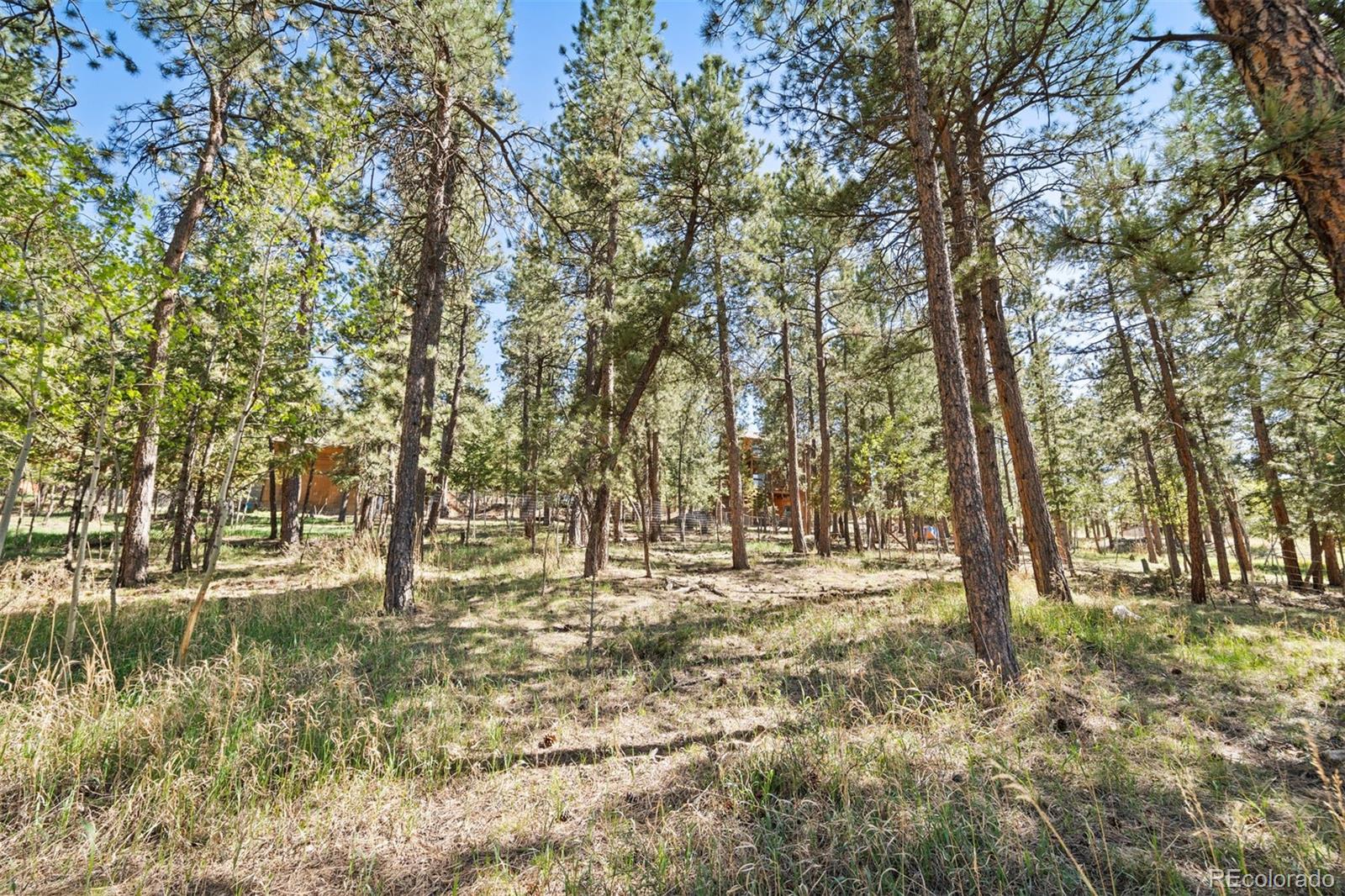 122 South Random Road Bailey, CO 80421 - Photo 29 of 38 a view of outdoor space with trees
