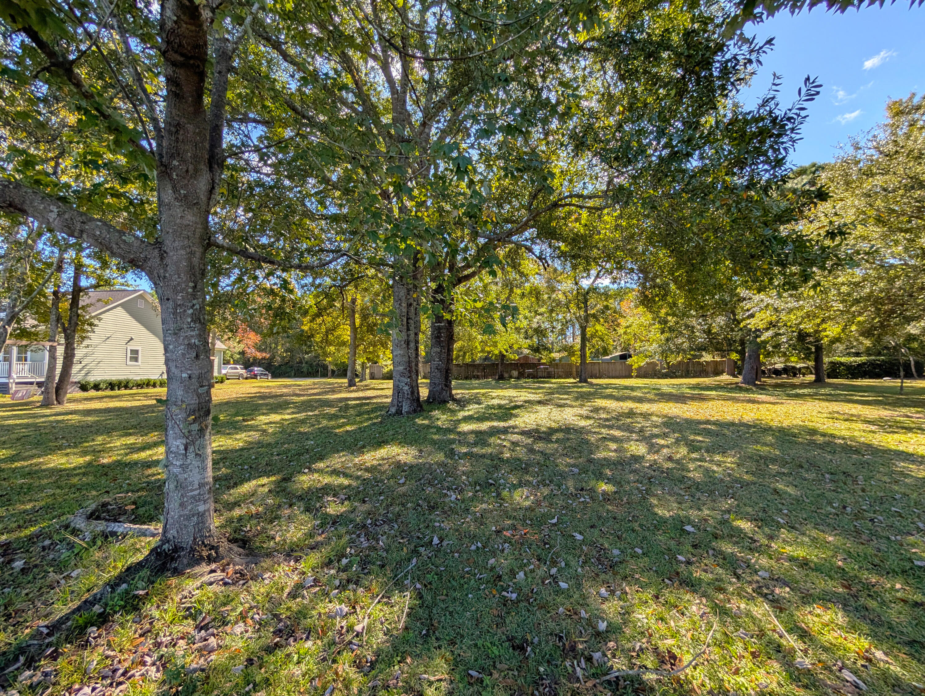 5331 Angelica Circle Awendaw, SC 29429 - Photo 11 of 34 15-Interior of Lot from Center