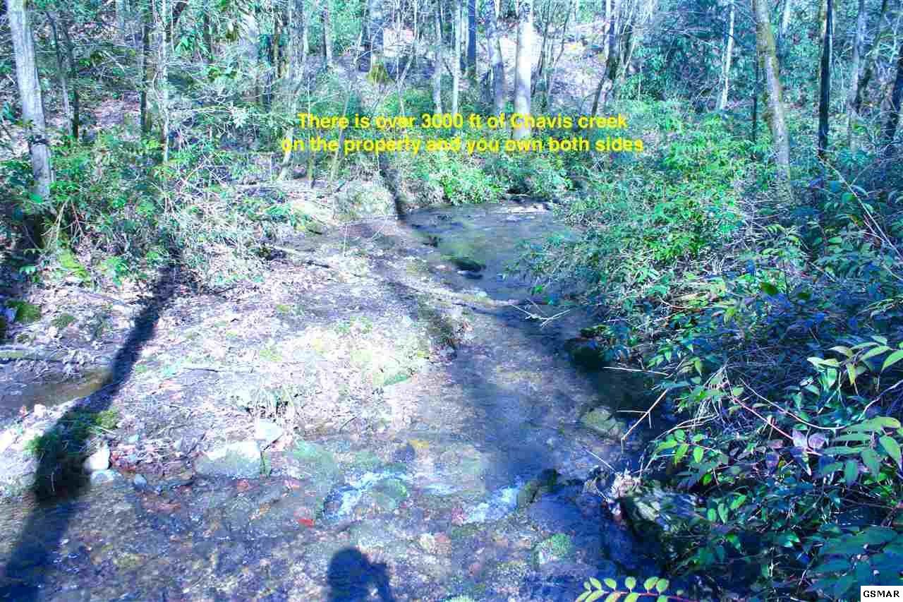 0 Ball Hollow Road Cosby, TN 37722 - Photo 25 of 36 Gallery Image 25