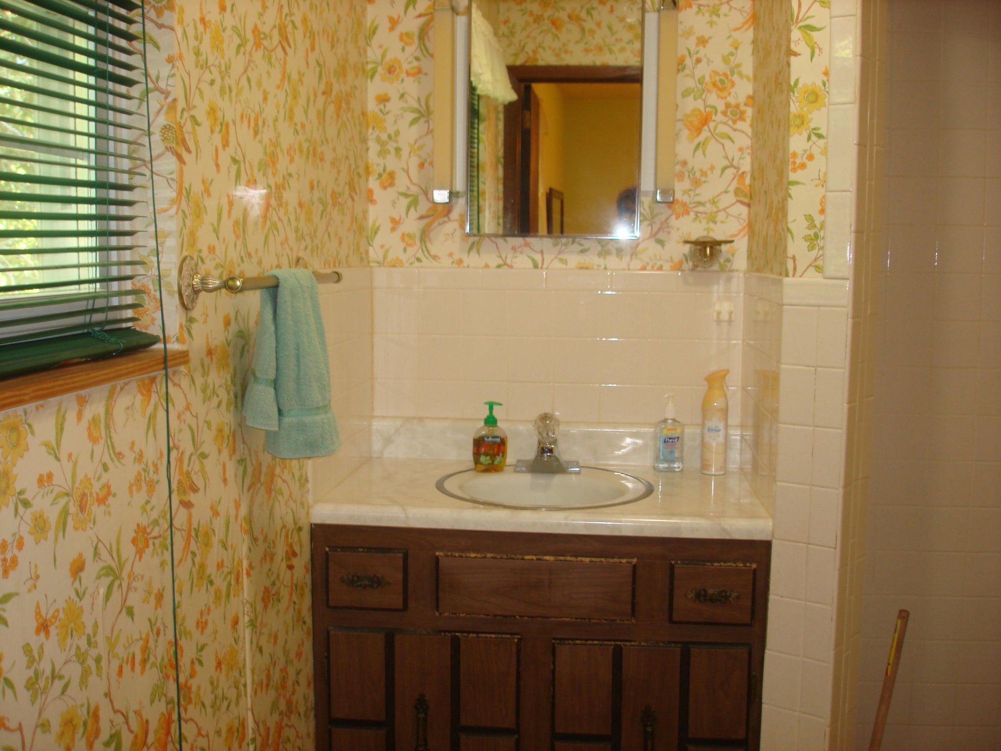 225 Sherwood Road Powell, TN 37849 - Photo 11 of 17 a bathroom with a sink and a mirror