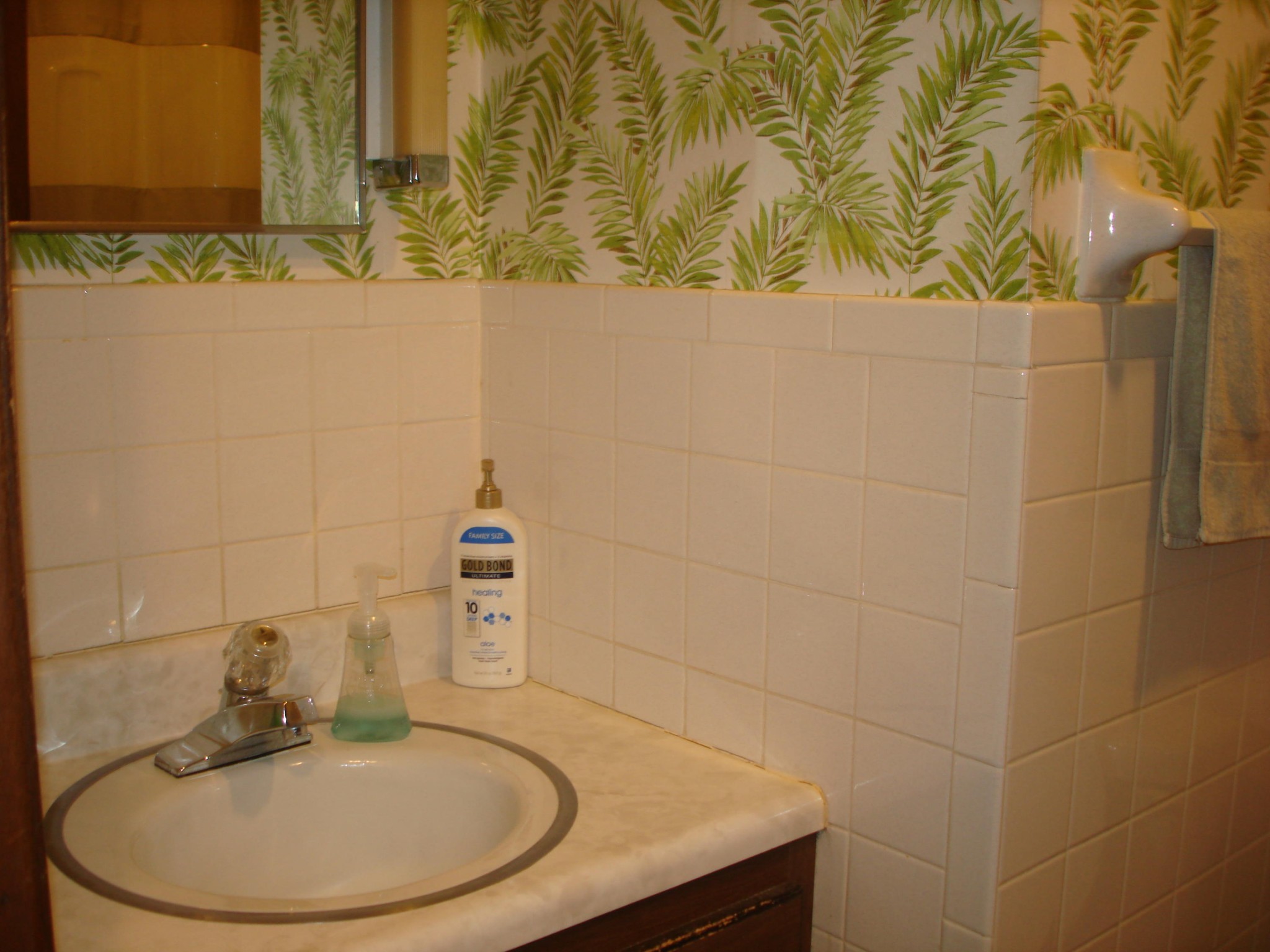 225 Sherwood Road Powell, TN 37849 - Photo 14 of 17 a bathroom with a sink and a mirror