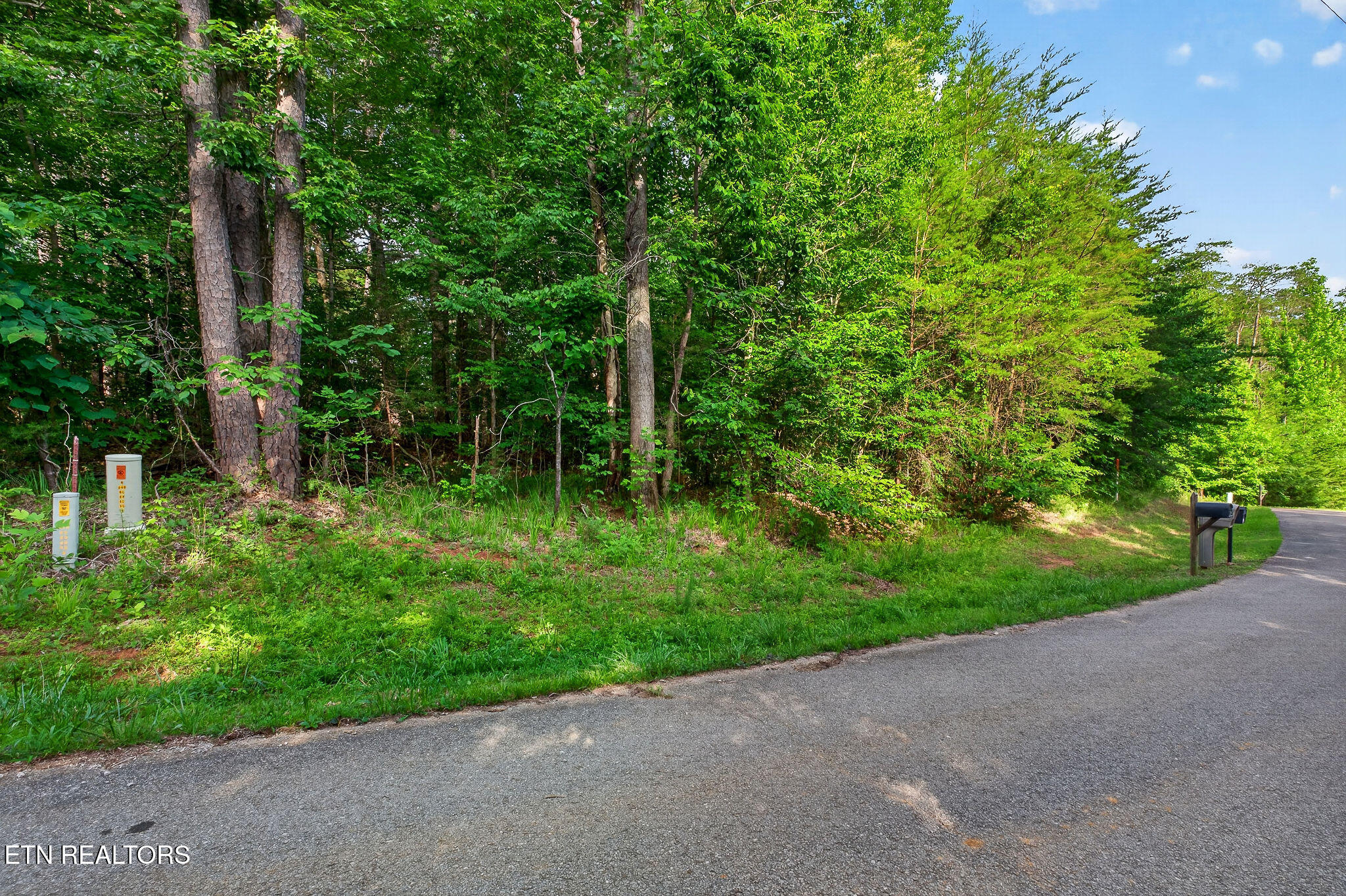 Simmons Cemetery Road Quebeck, TN 38579 - Photo 10 of 20 LOTS OF ROAD FRONTAGE