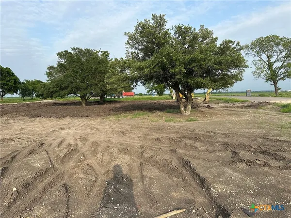 a view of yard with trees