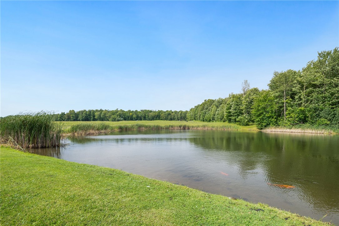 5903 Howell Road Locke, NY 13092 - Photo 29 of 31 5+ beautiful acres with private 3/4 acre pond stoc