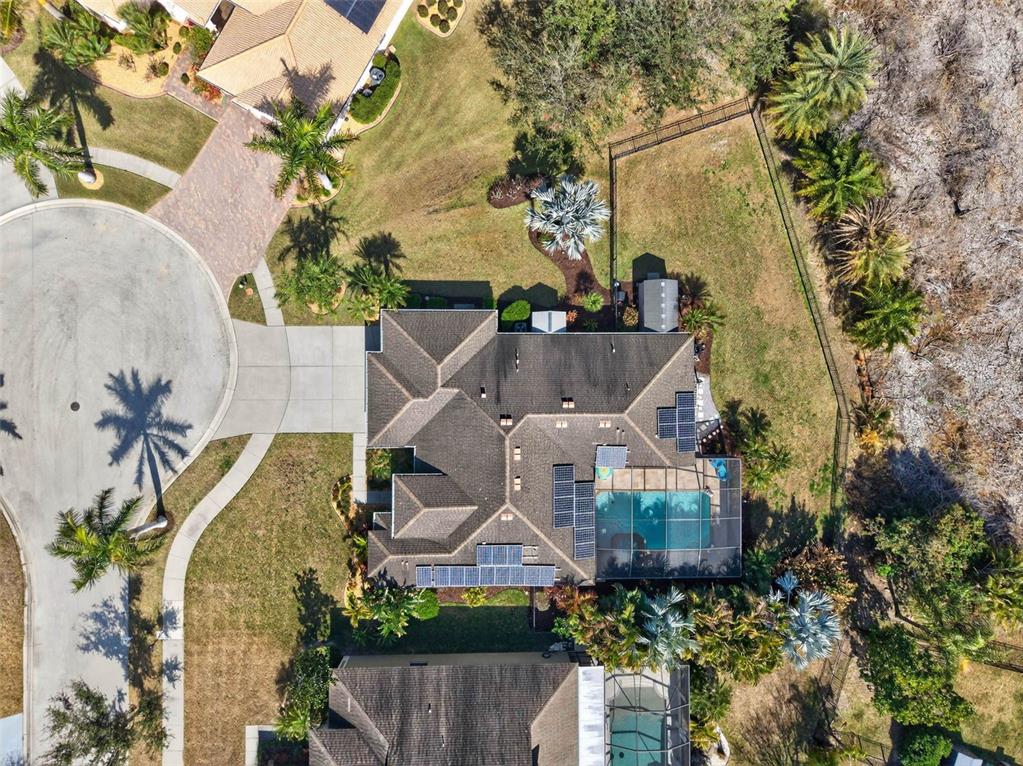 5405 Coral Shell Way Apollo Beach, FL 33572 - Photo 51 of 58