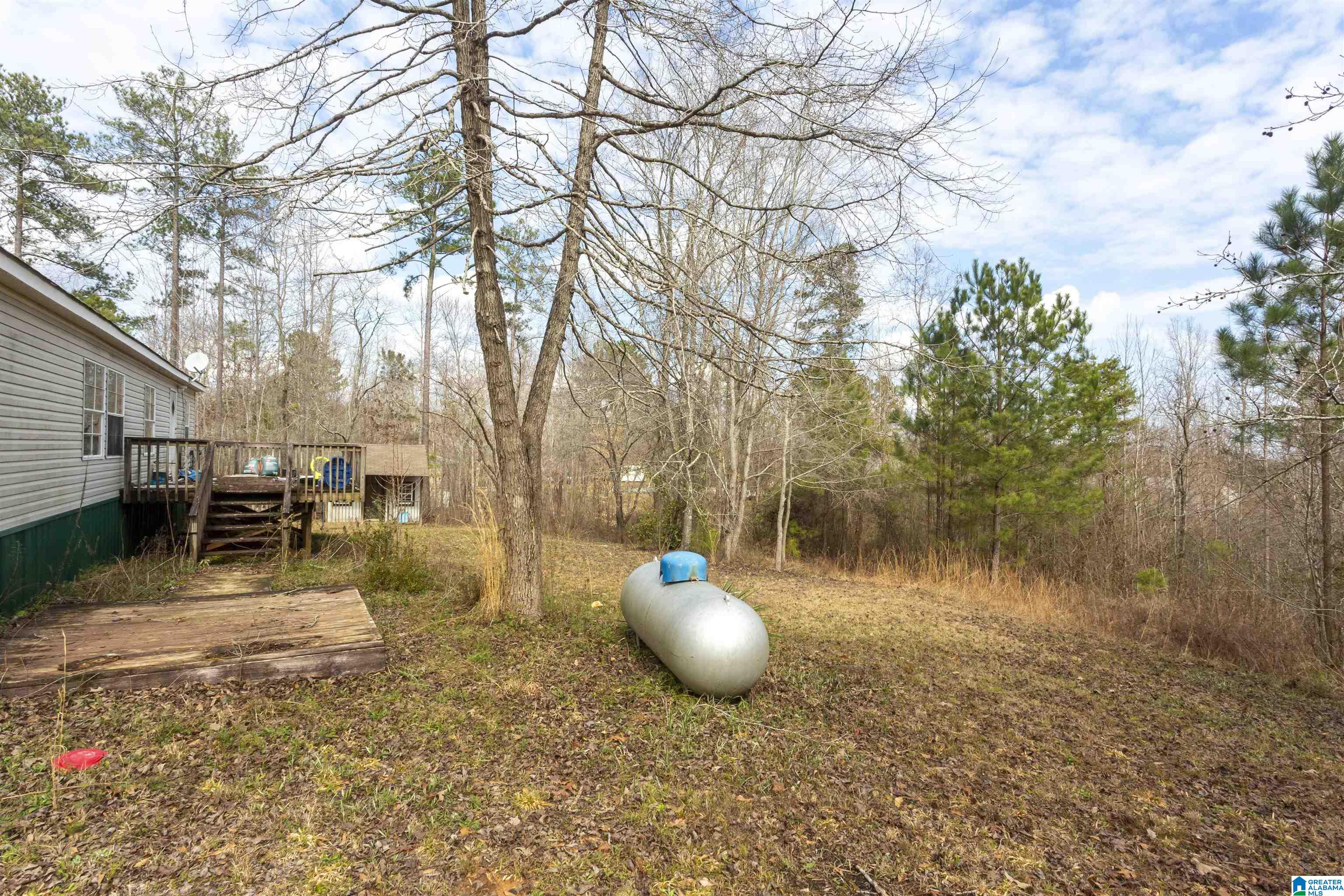2226 Chula Vista Mtn Road Pell City, AL 35125 - Photo 29 of 47