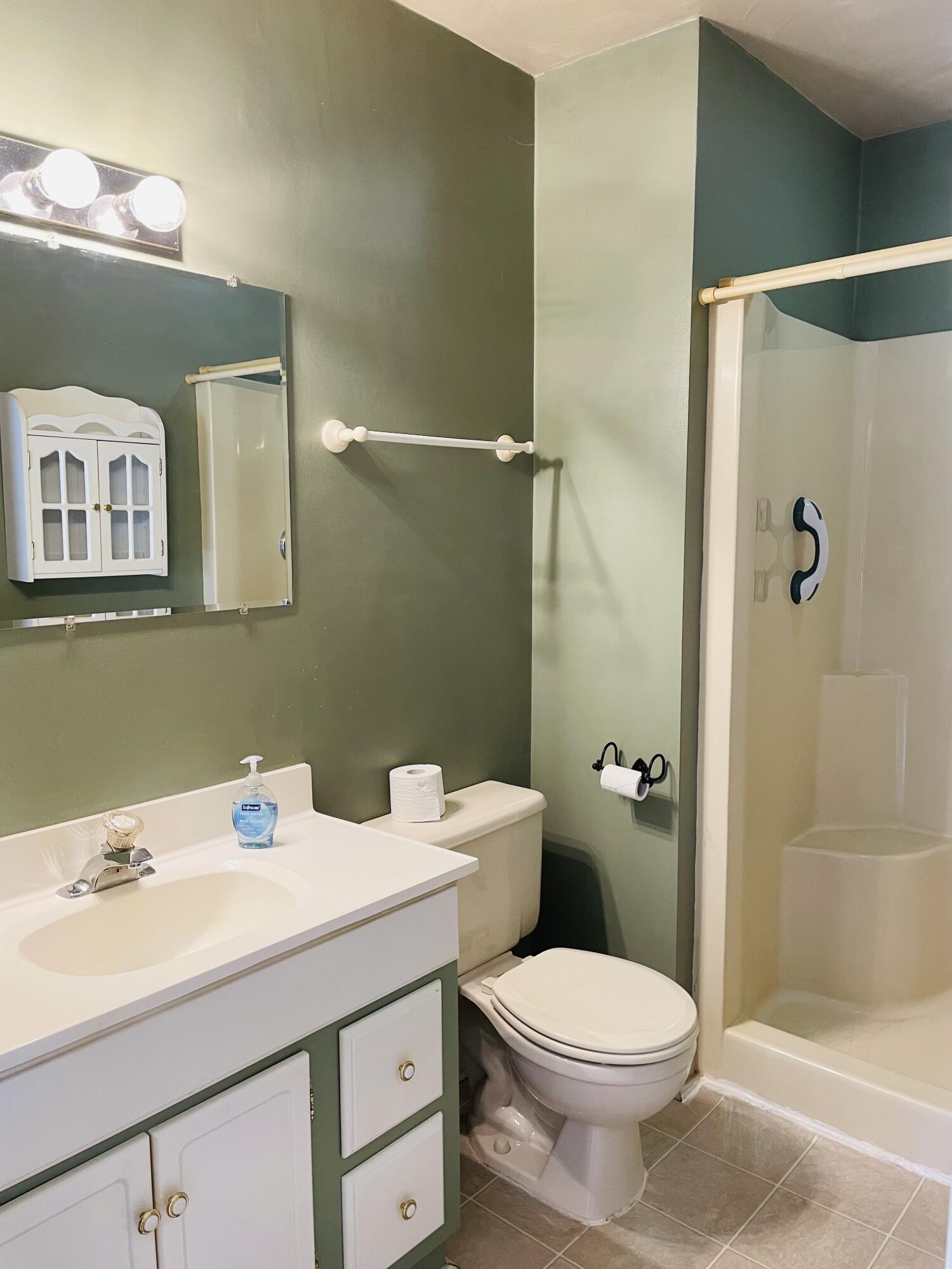 1035 Oyler Road Hardy, VA 24101 - Photo 11 of 70 bathroom in the addition
