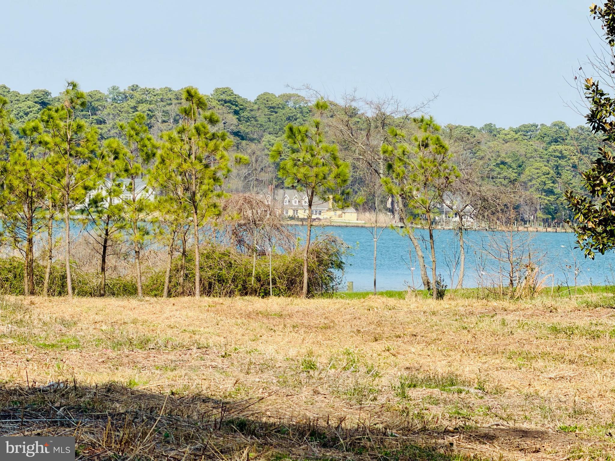 Enniskillen Road Easton, MD 21601 - Photo 2 of 14 a street view with residential houses