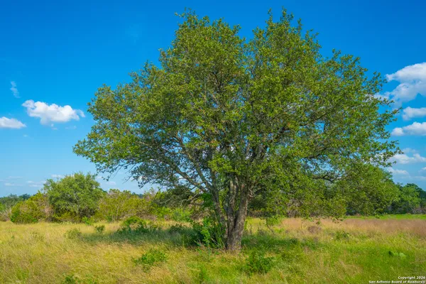 $225,000 | 0 Vintage Oaks Ranch, Johnson City, TX 78636