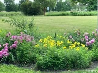 3735 West Oregon Road Lapeer, MI 48446 - Photo 29 of 76
