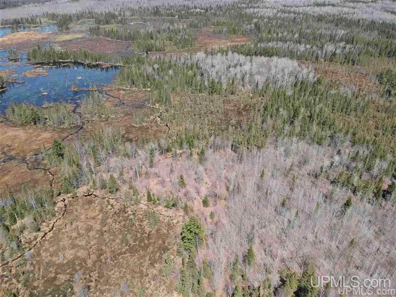 Tbd Mud Lake Road Lake Linden, MI 49945 - Photo 1 of 18