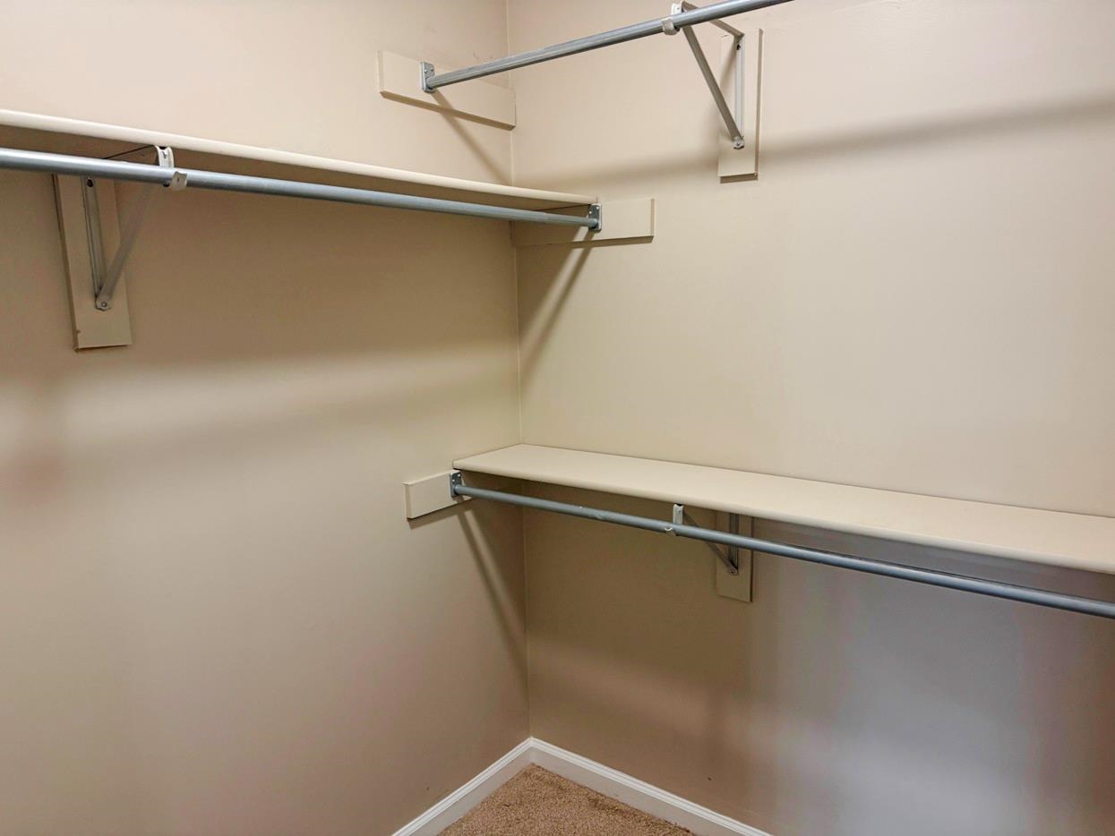 8810 Raspberry Lane Memphis, TN 38016 - Photo 20 of 28 Walk in closet with carpet floors