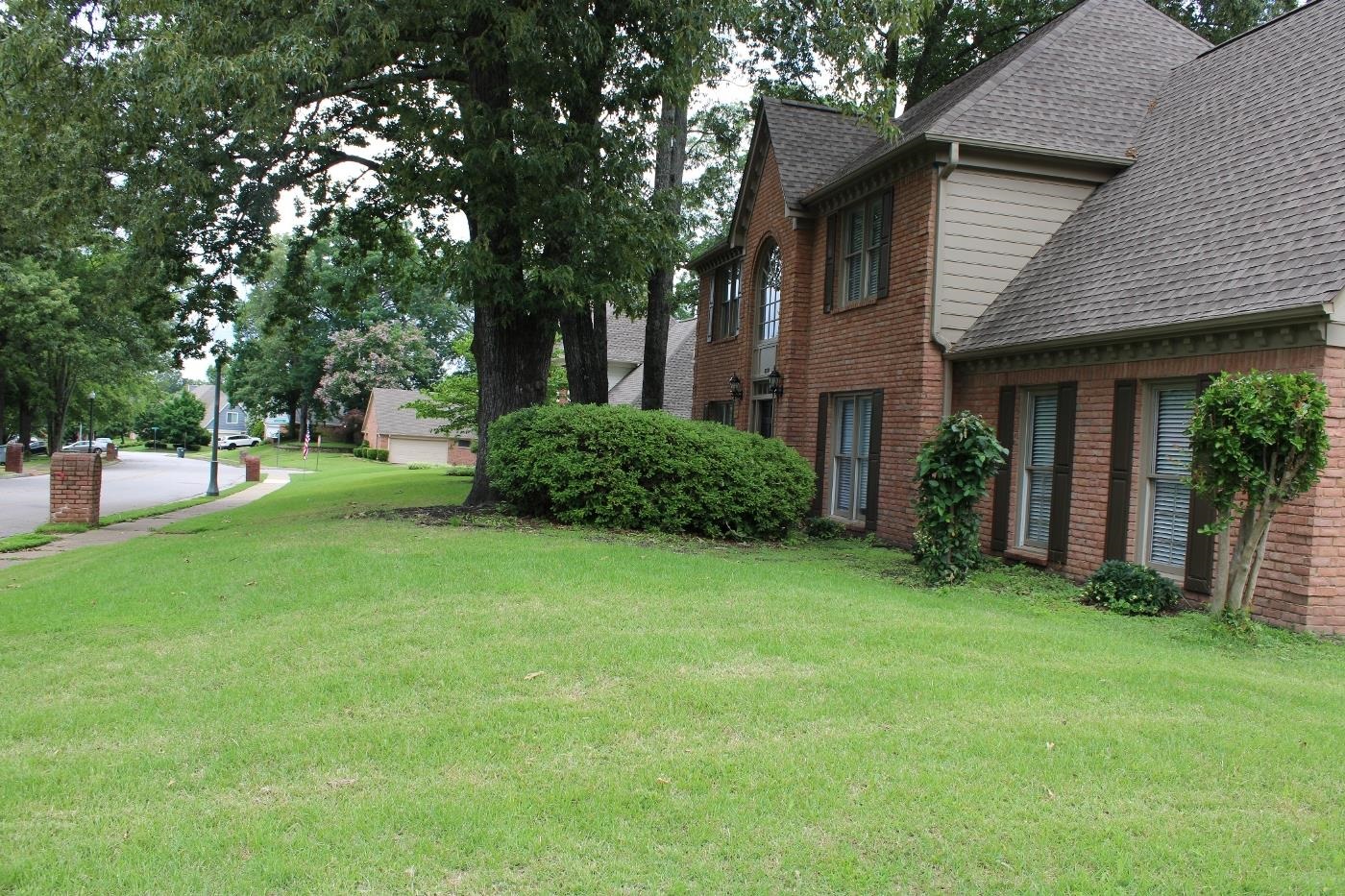 8810 Raspberry Lane Memphis, TN 38016 - Photo 3 of 28 View of grassy yard