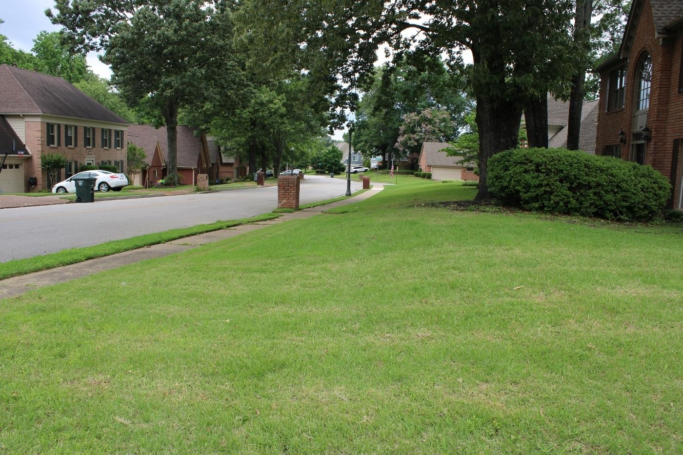 8810 Raspberry Lane Memphis, TN 38016 - Photo 4 of 28 View of grassy yard with a residential view